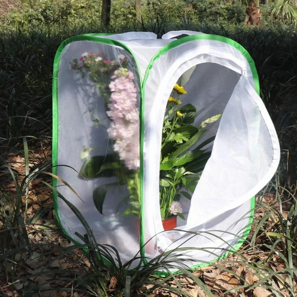 Lot de 2 cages habitat à insectes et papillons - Pour terrarium - 2 x 15,7 x 15,7 x 23,6 cm - Blanc durable + vert