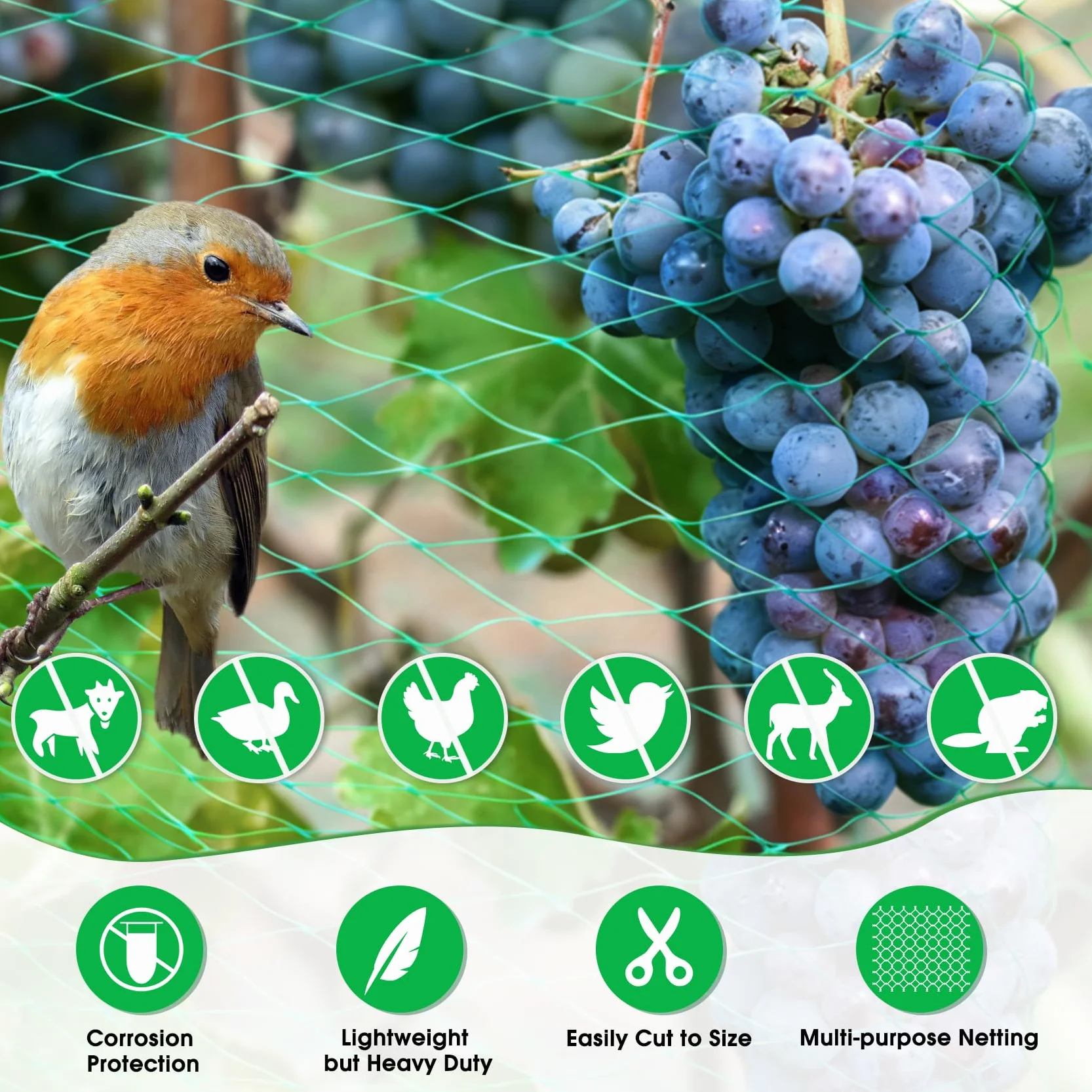 Filet Anti Oiseaux de Jardin Protecteur 4M x 20M Mailles Réutilisable