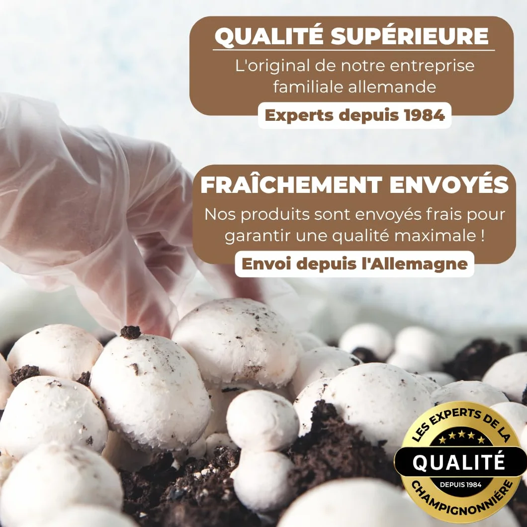 Hawlik Kit Champignons de Paris - Lot de 2 Cultures - Blancs et Bruns