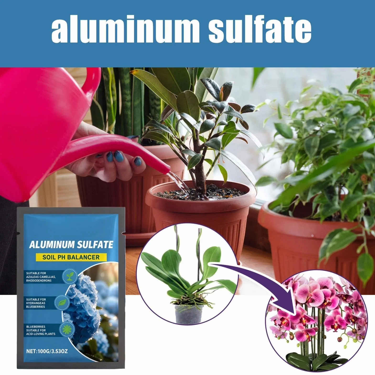 D'engrais Pour Hortensia Devenir Bleu 14x20 Cm Hydrangea Blueing Plant Acidifiant Amendements Doux Abaisseur PH Du Sol En Sulfate D'aluminium Jardins Et Étangs