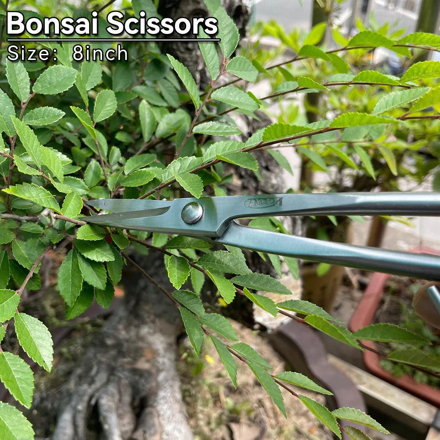 vouiu Lot de 6 outils pour bonsaï, coupe-bordures, coupe-boutons, pince Jin, coupe-fil, ciseaux à bonsaï, crochet racine