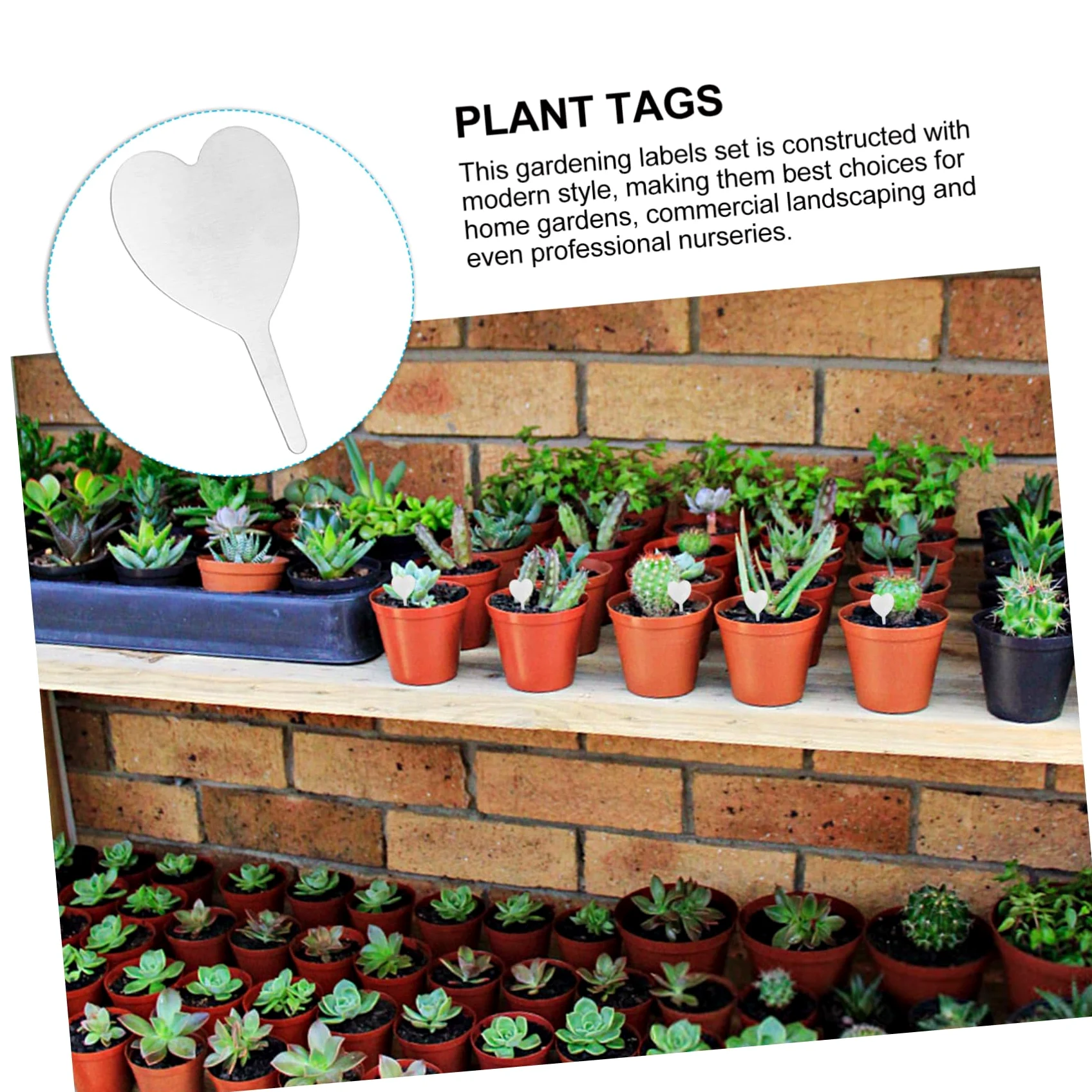 ibasenice 2 Ensembles Étiquettes Métalliques Végétales Balises De Pieu Planche Étiquettes D'identification De Plantes Étiquette De Plante De Tableau Silver Acier Inoxydable 50 Pièces * 2