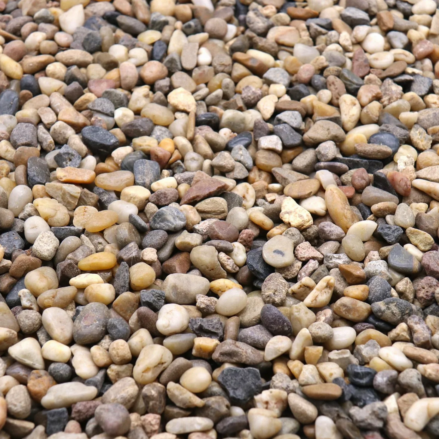 Roches pour plantes. Galets décoratifs de couleurs mélangées. 1,27 cm, 4,5 kg. Pour jardin, aménagement paysager, intérieur, remplissage de vases, artisanat, plantes succulentes, pots,