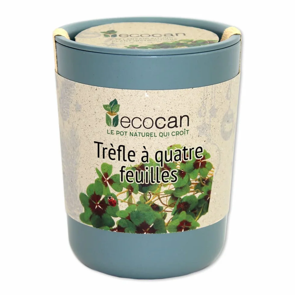 Feel Green Ecocan Trèfle À Quatre Feuilles 100% Biodégradable Kit Prêt-à-Pousser Le Pot Écologique 9 x 7 cm Produit en Autriche