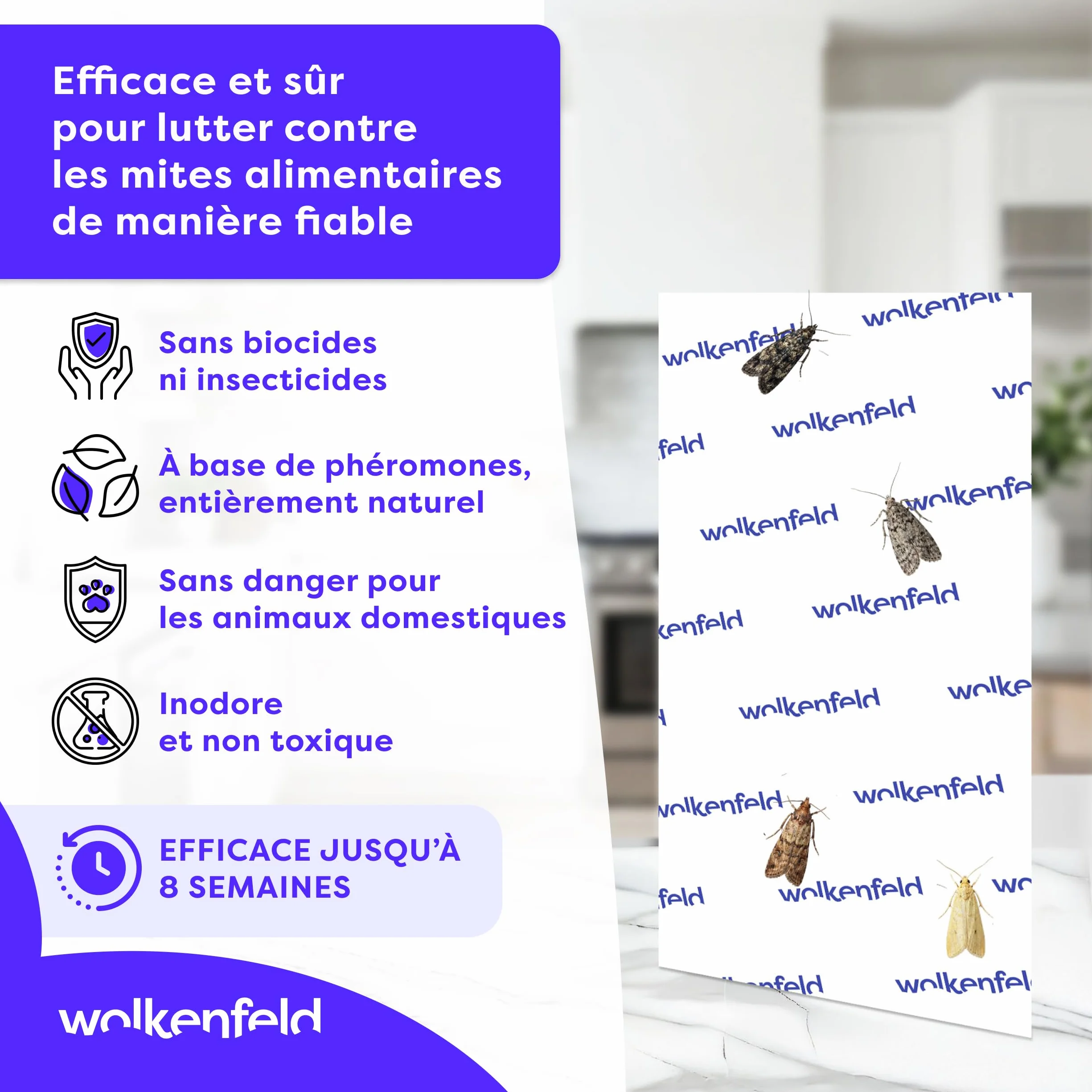 Wolkenfeld Piège à Mites Alimentaires x10 – Anti Mites Alimentaires Phéromone – 10 Pièges – Made in Germany