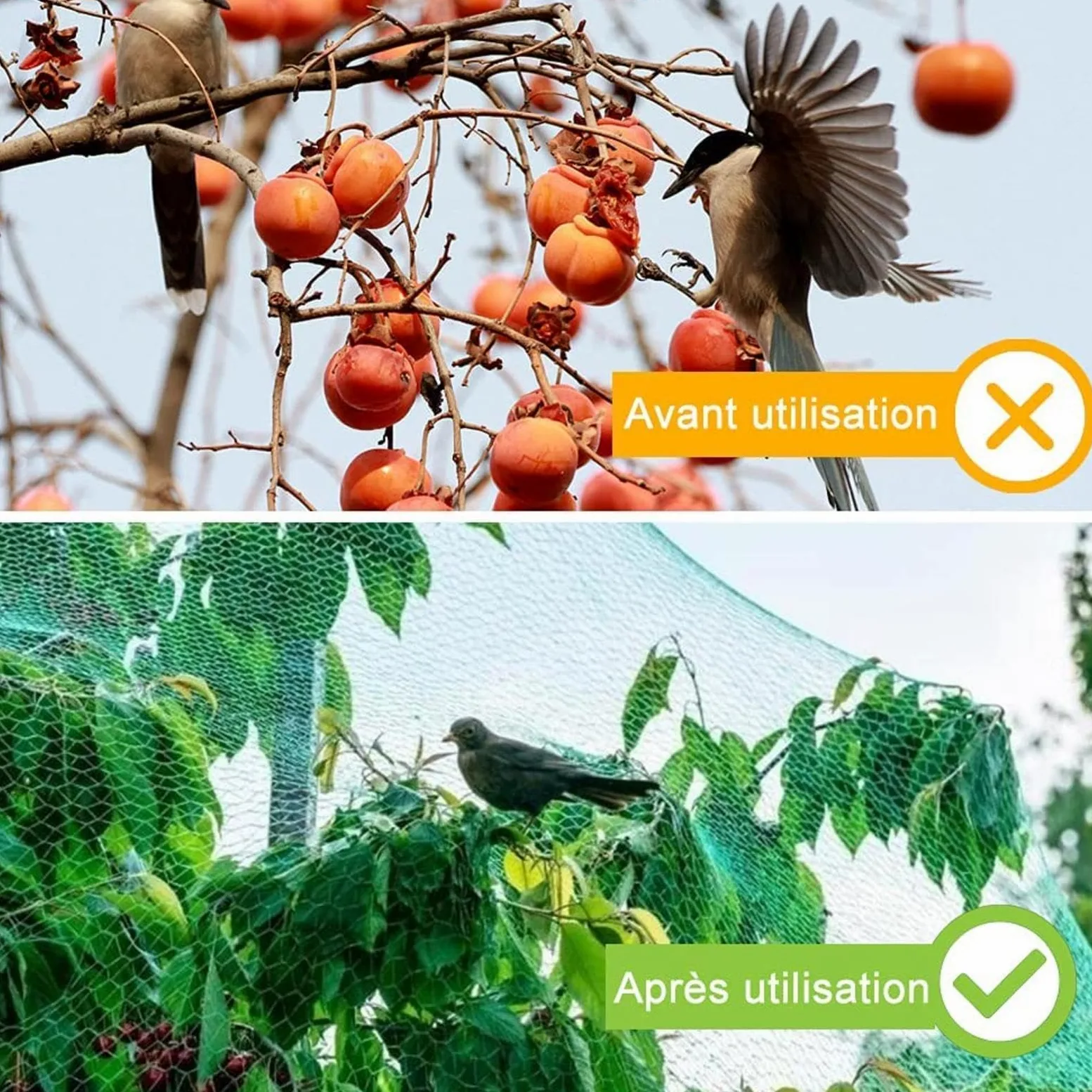 Filet Protection Oiseaux Potager Filet Jardin Anti Oiseaux pour Filet de Plantes, Protège Plantes, Fruits, Fleurs et Légumes,6x10m