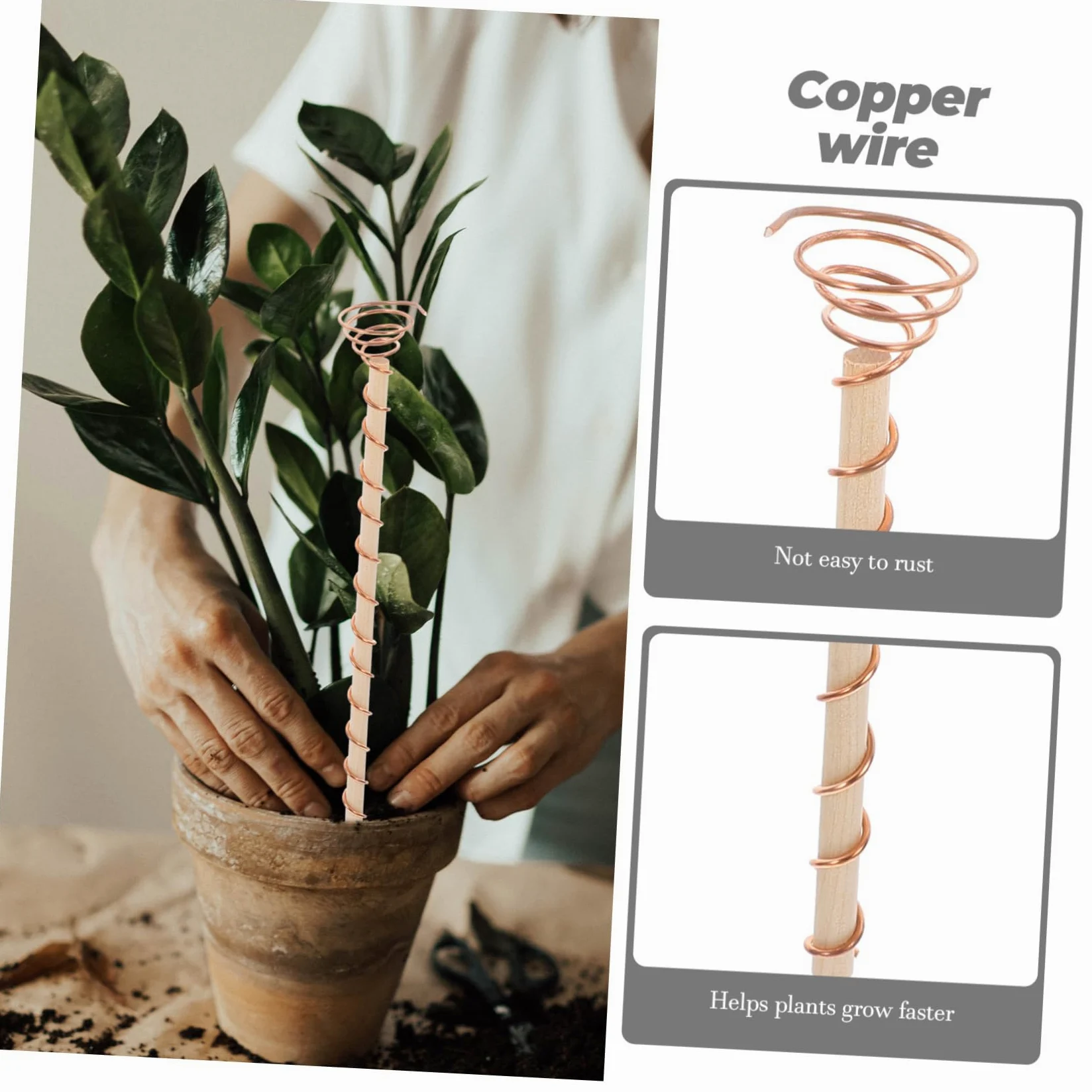 HEMOTON Kit Outils de Jardinage avec Piquets en Fil de Cuivre et Truelles en Bois pour Plantes et Légumes, Favorise la Croissance des Racines en Intérieur et Petits Jardins
