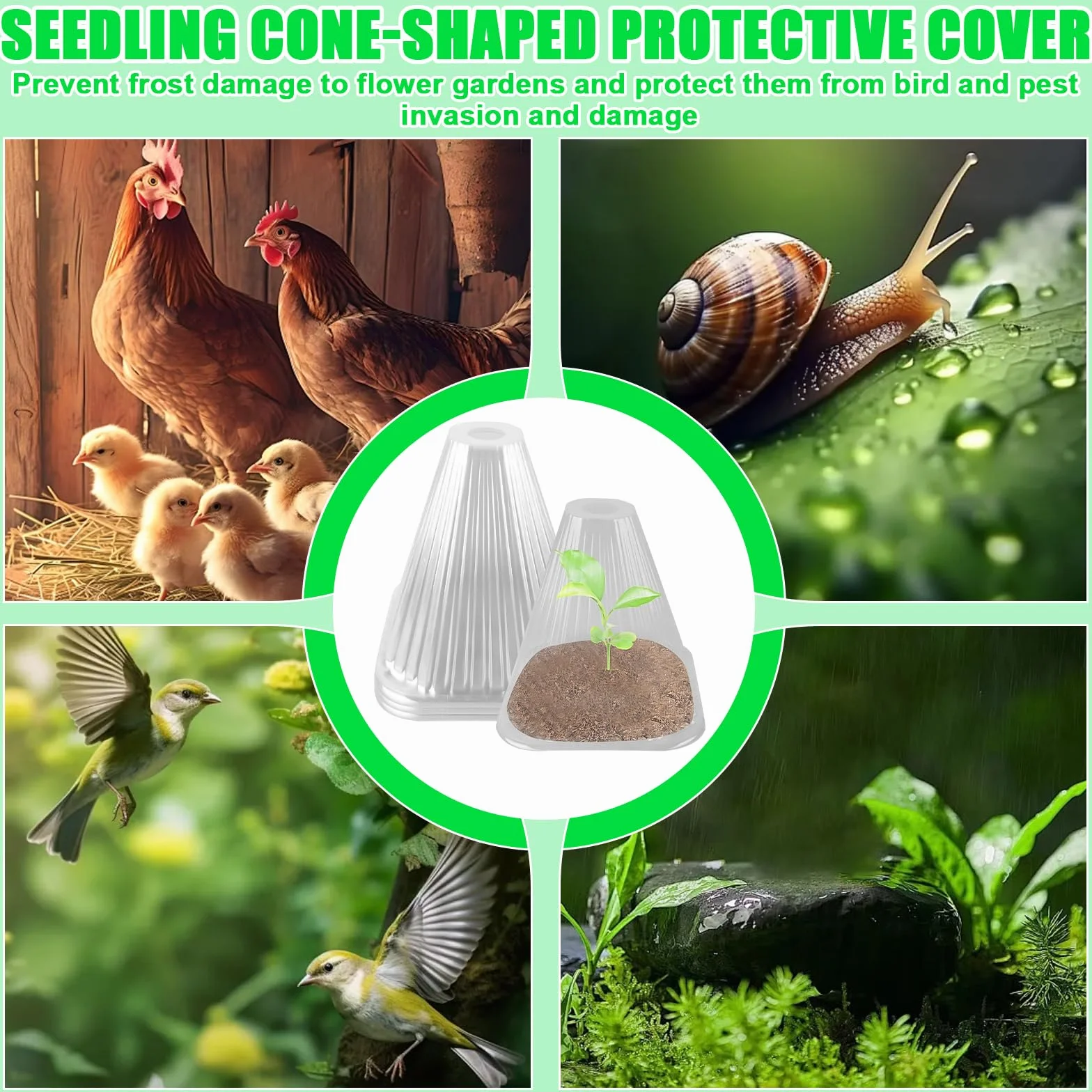 BAIFULAI Lot de 30 chapeaux de plantes transparents Ø 19 cm réutilisables protection contre oiseaux limaces gel