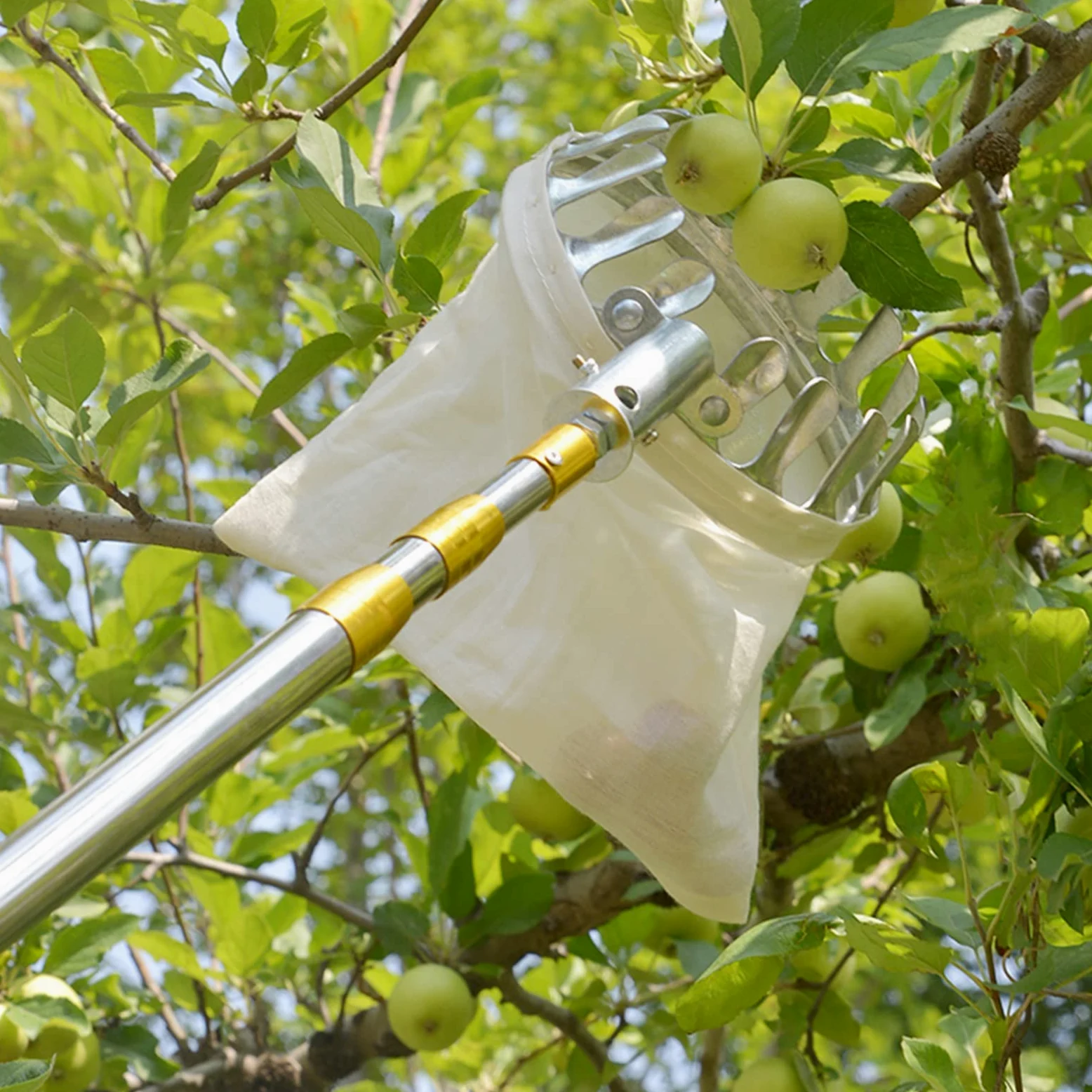 Pince à fruits télescopique avec panier pour une récolte facile, outil pratique pour cueillir les fruits