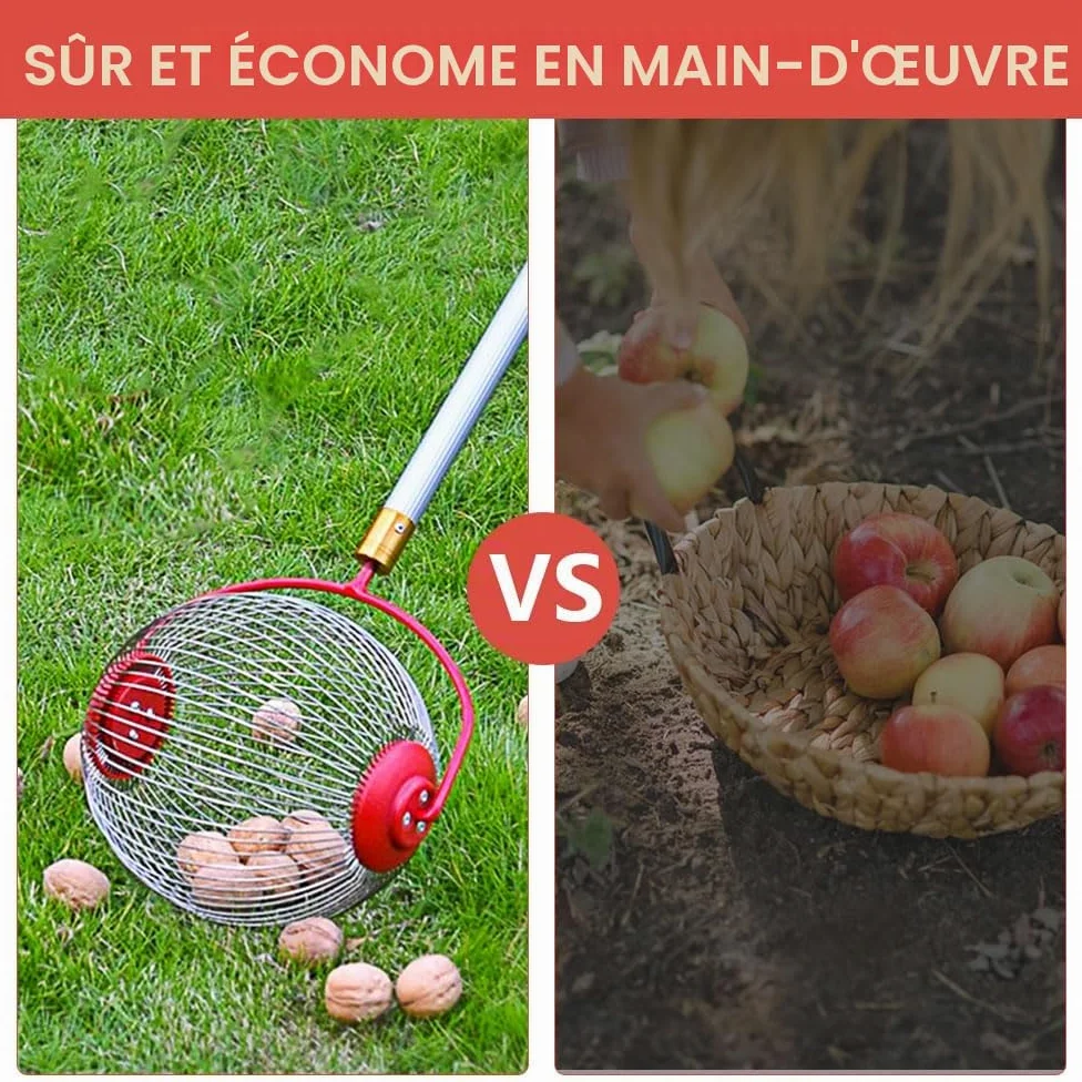 Ramasse Noix avec Manche, Ramasse Noisette, Ramasse-Noix avec Poignée Longue Télescopique, Ramasse Noix Pour Les Noix, Pruneaux, Golf