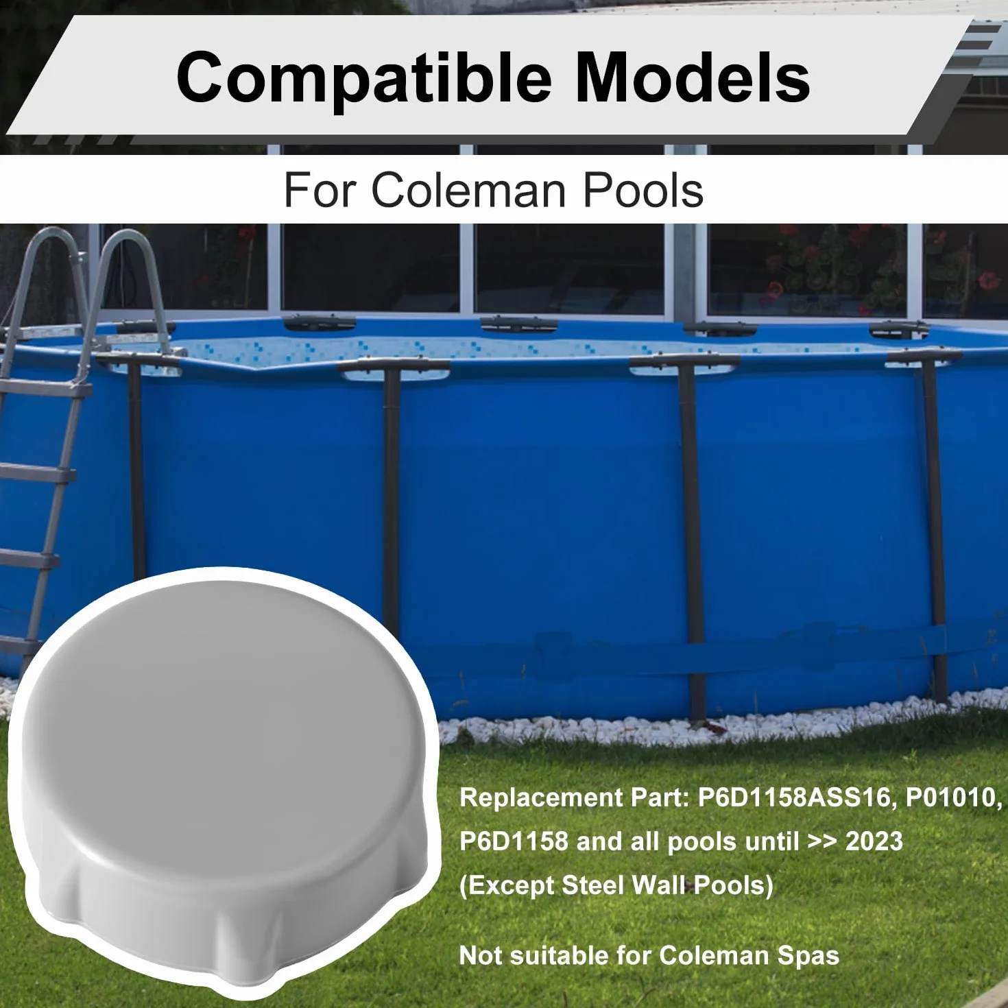 Bouchon Vidange Piscine Remplacement Compatible avec Coleman Piscines P01006