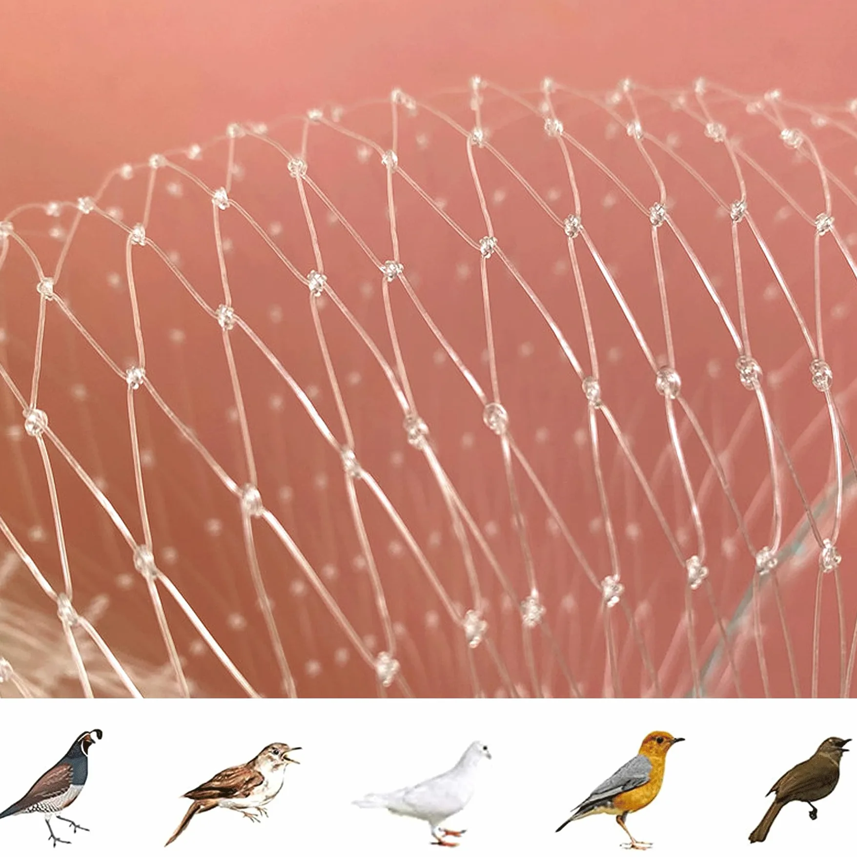 Filet Anti Oiseaux en Maille Filet de Protection Jardin(5m x 15m) | Filet Anti Pigeon Transparent, Filet Anti-Oiseaux pour Balcon, Bassin, Fruits, Légumes et Plantes, Oiseaux Contrôle