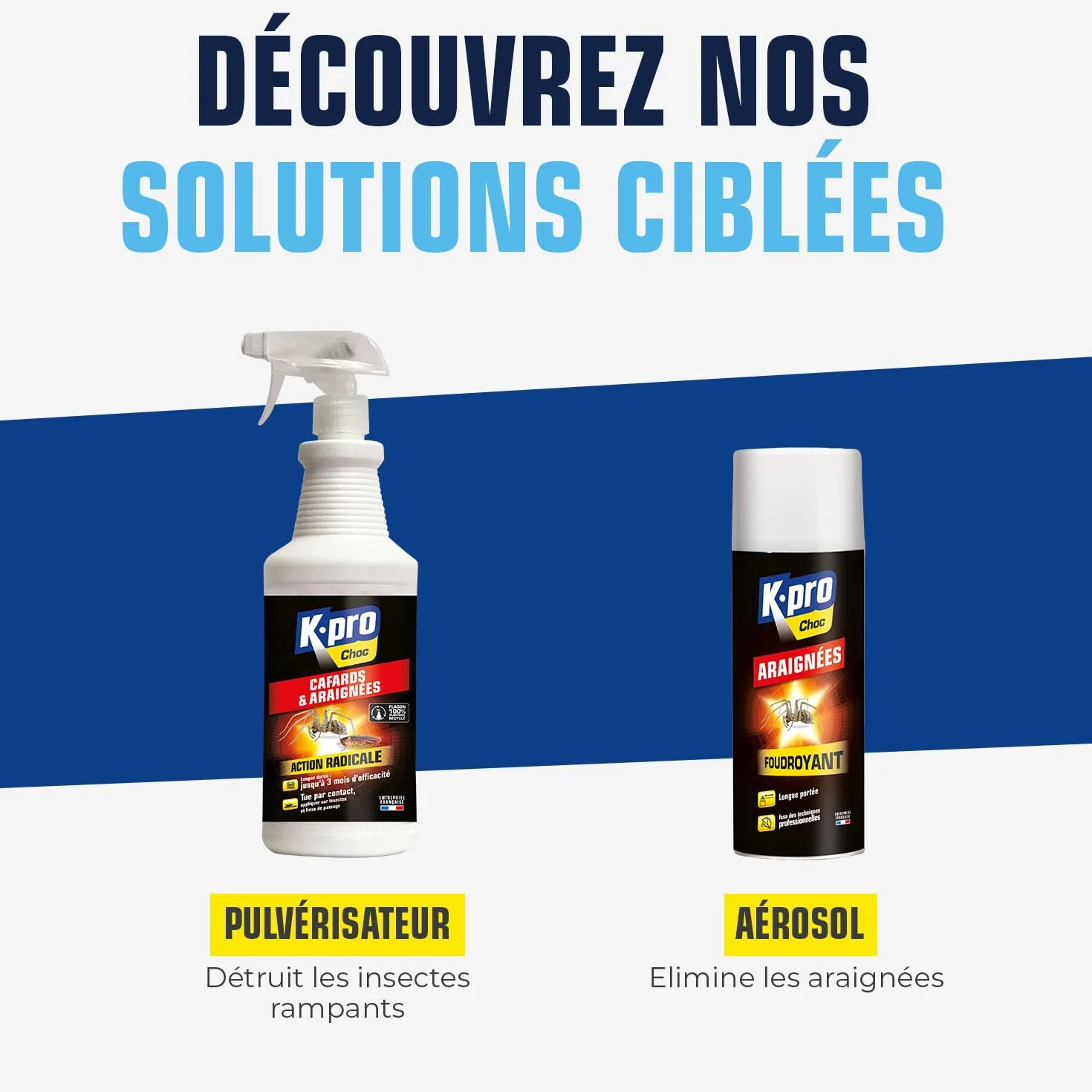 Spray Aérosol Anti Cafards et Araignées 1L Action Radicale Longue Durée Professionnel