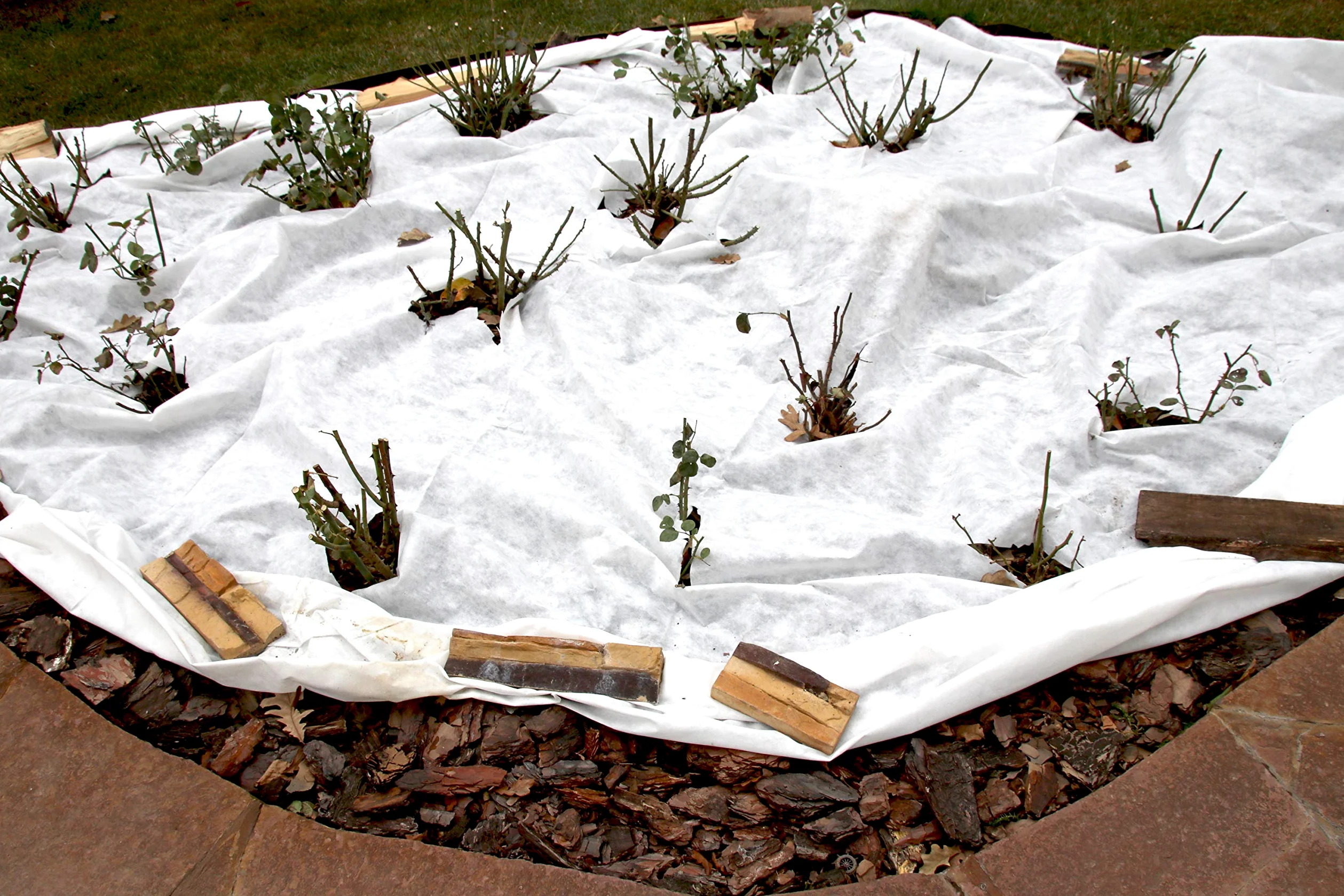160m² toison géotextile toison jardin toison mauvaises herbes polaire étang 250g/m² 1.6m de large