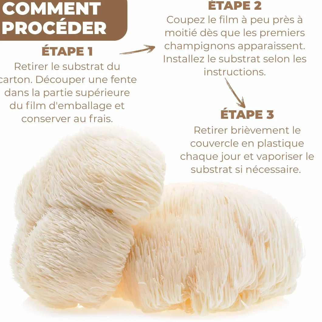 Hawlik Kit de culture de champignons Lions Mane Hericium erinaceus