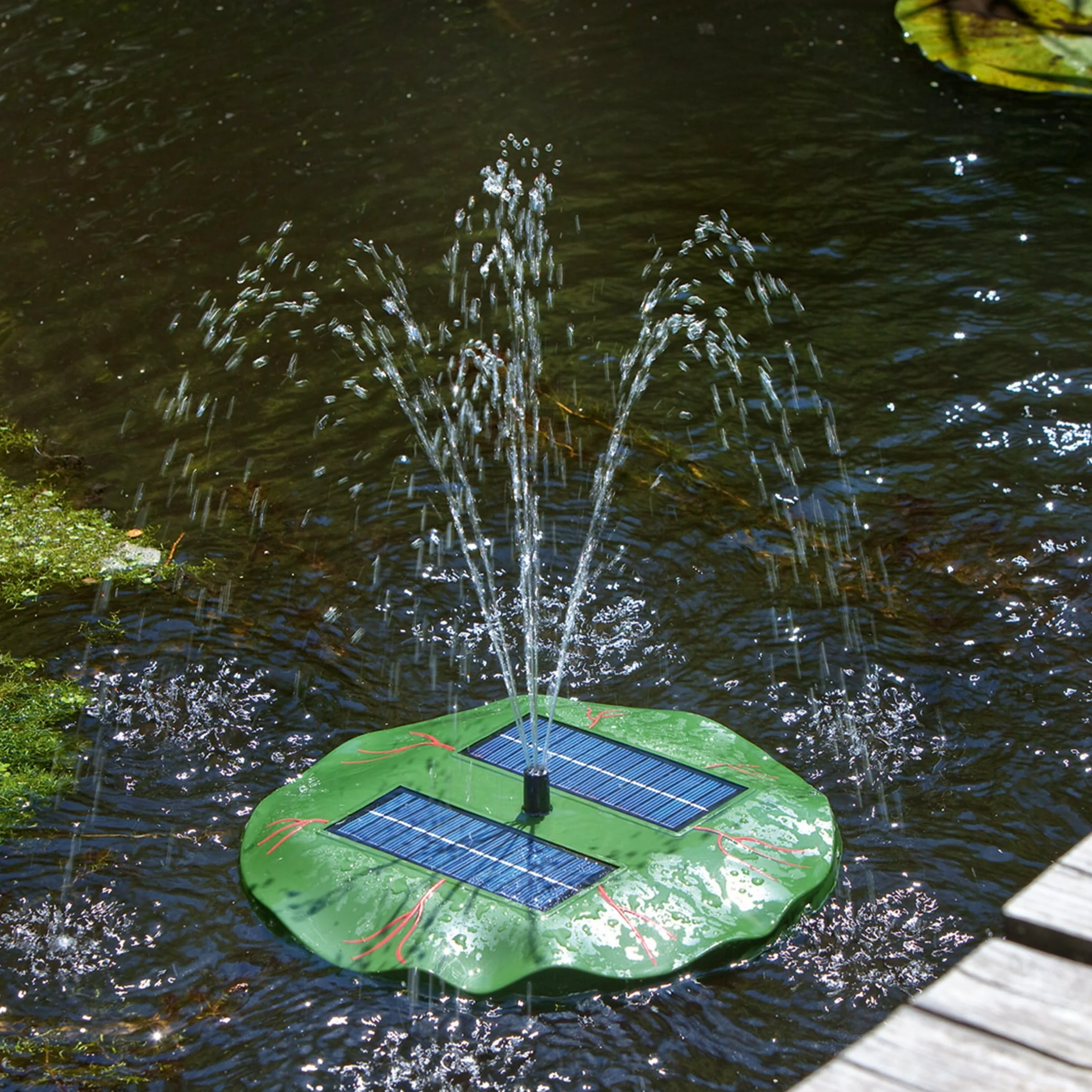 Esotec Pompe de Bassin Flottante nénuphar | Kit Complet avec Pompe d'arrosage, Panneau Solaire, Fontaine Solaire pour Bassin de Jardin, Jeu d'eau, Pompe de Fontaine, Fonctionnement Direct 0,4 m, 160