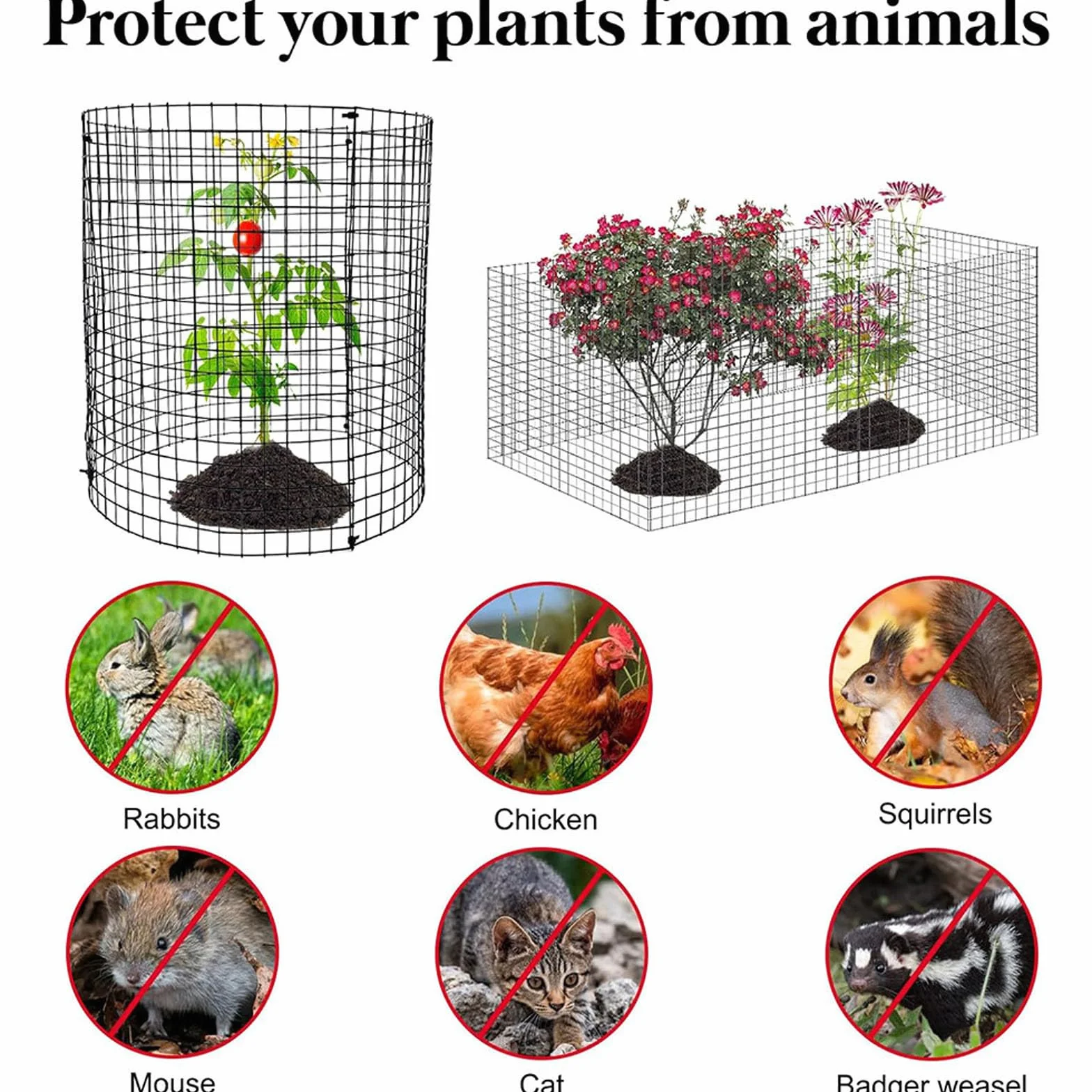 Protecteur de Plantes Inox 30,5 cm Cage de Protection pour Jardin