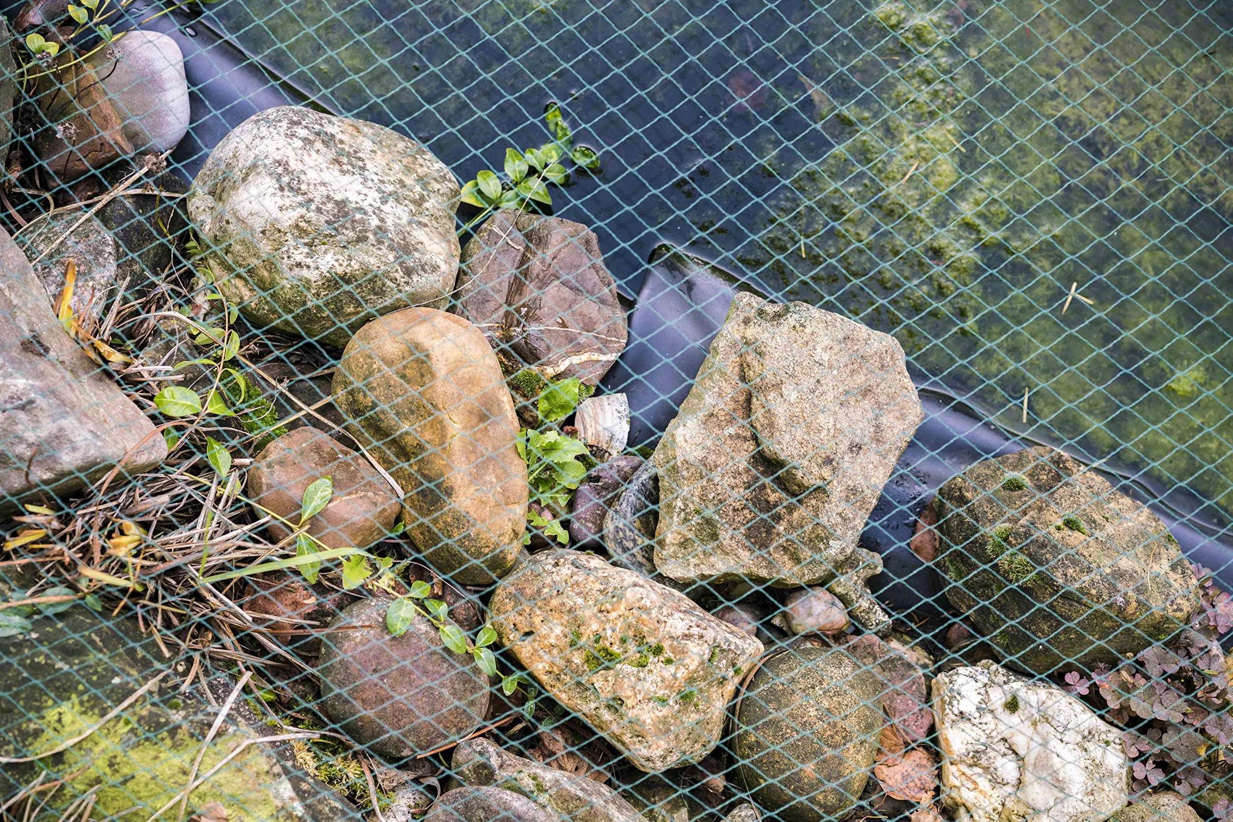 Filet de bassin 4m x 6m filet à feuilles protection oiseaux robuste