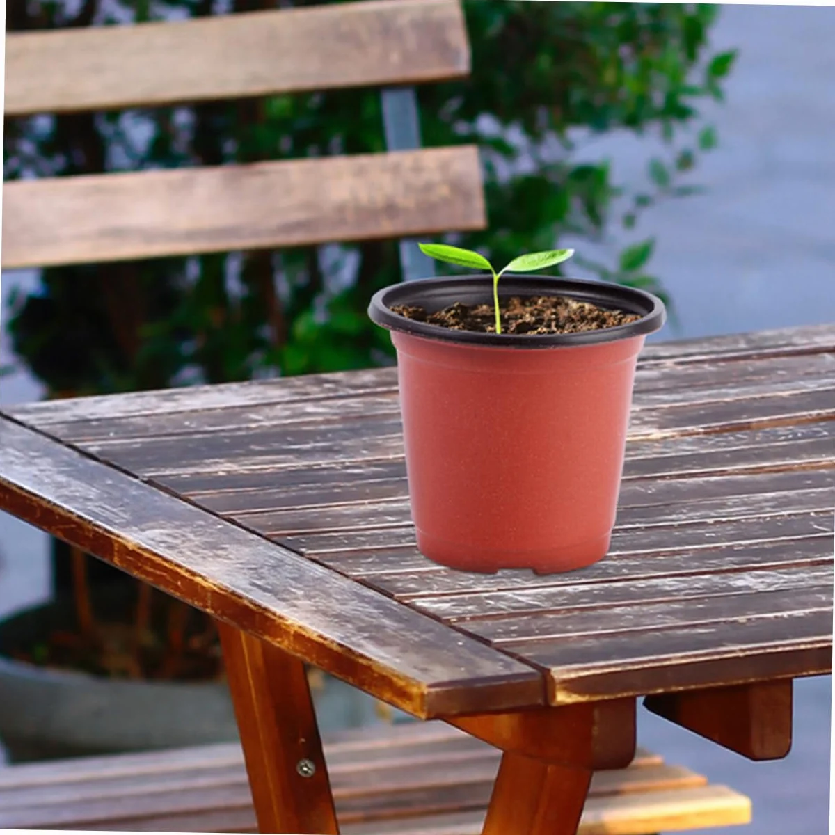 Gatuida 120 Pots pour Semis avec Drainage, Pots de Fleurs Plastique Légers pour Plantes Succulentes et Extérieur