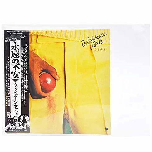 Manchons en plastique refermables 4,7 Mil pour mini LP SHM-CD lot de 50