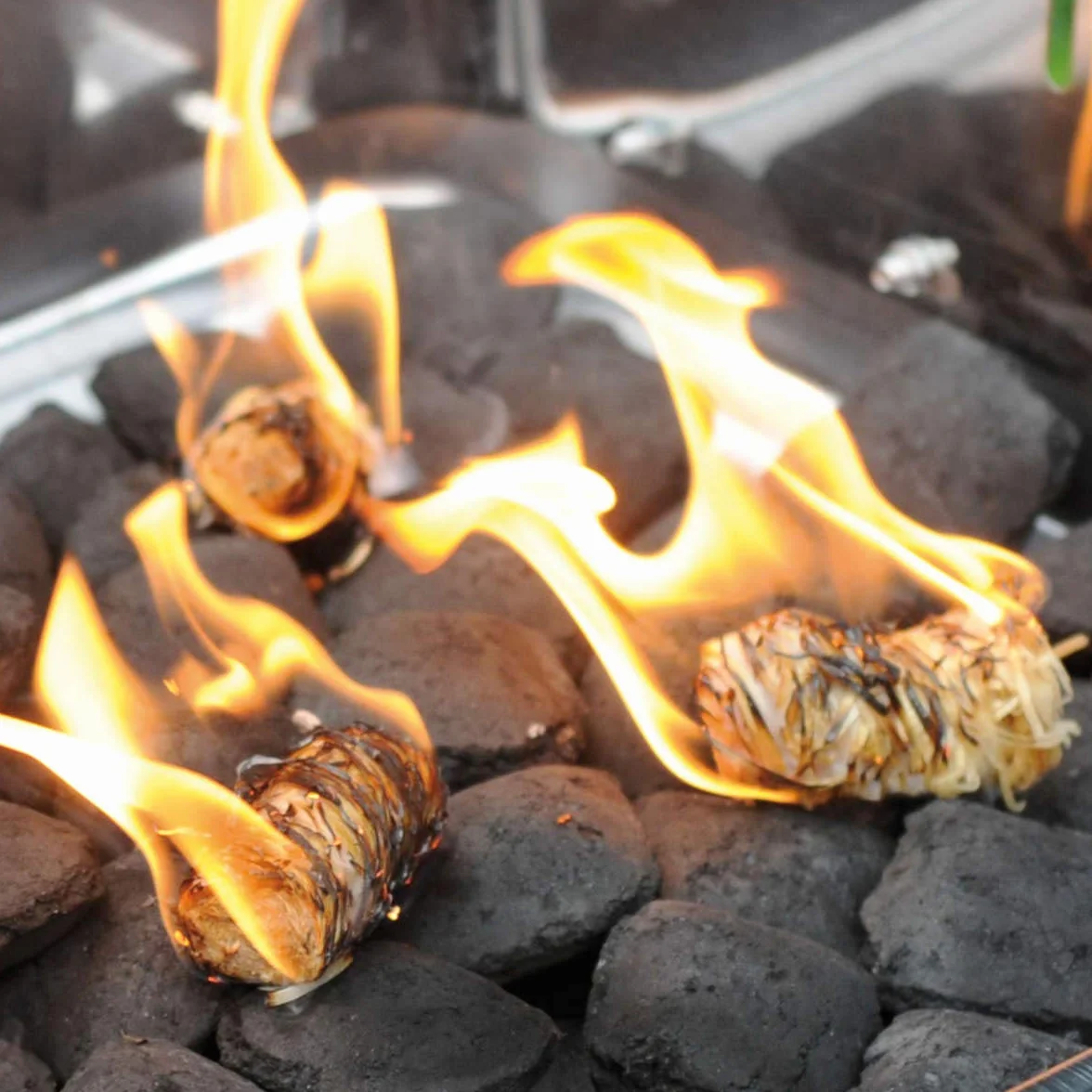 Allumes Feux Naturels 400 Pièces 6 cm 5 kg Cheminées Charbon Barbecue Fours à Pizza