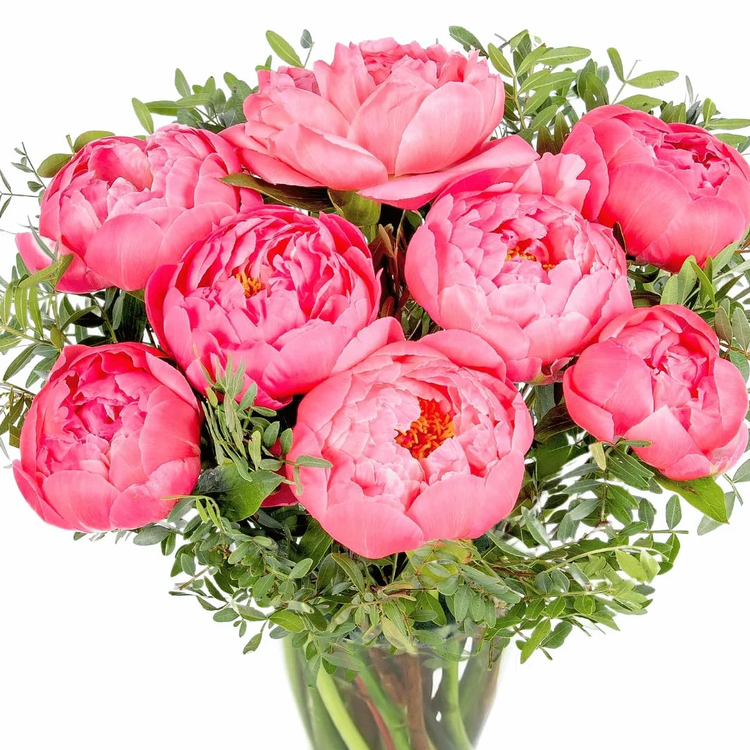 Bouquet de Pivoines Fraîches Livré à la Main - Composition Florale Élégante avec Expédition le Lendemain