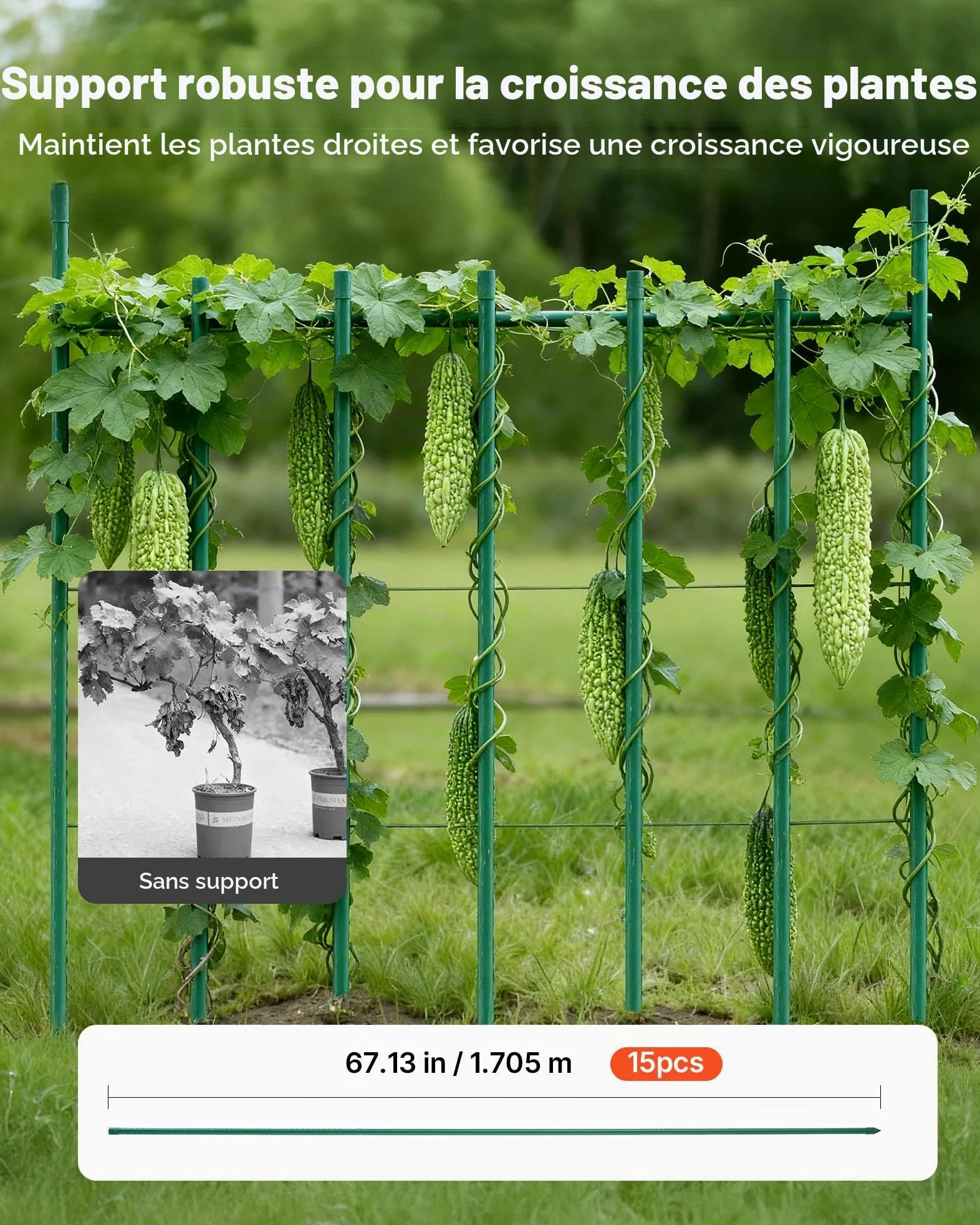 VEVOR Tuteur Plante 1,7 m Tuteur Plante Grimpante 15 PCS Tuteurs à Tomates Jardin pour Soutien Plantes Grimpantes Légumes Extérieur, Métal Recouvert Plastique Extrémité Pointue Picots Antidérapants