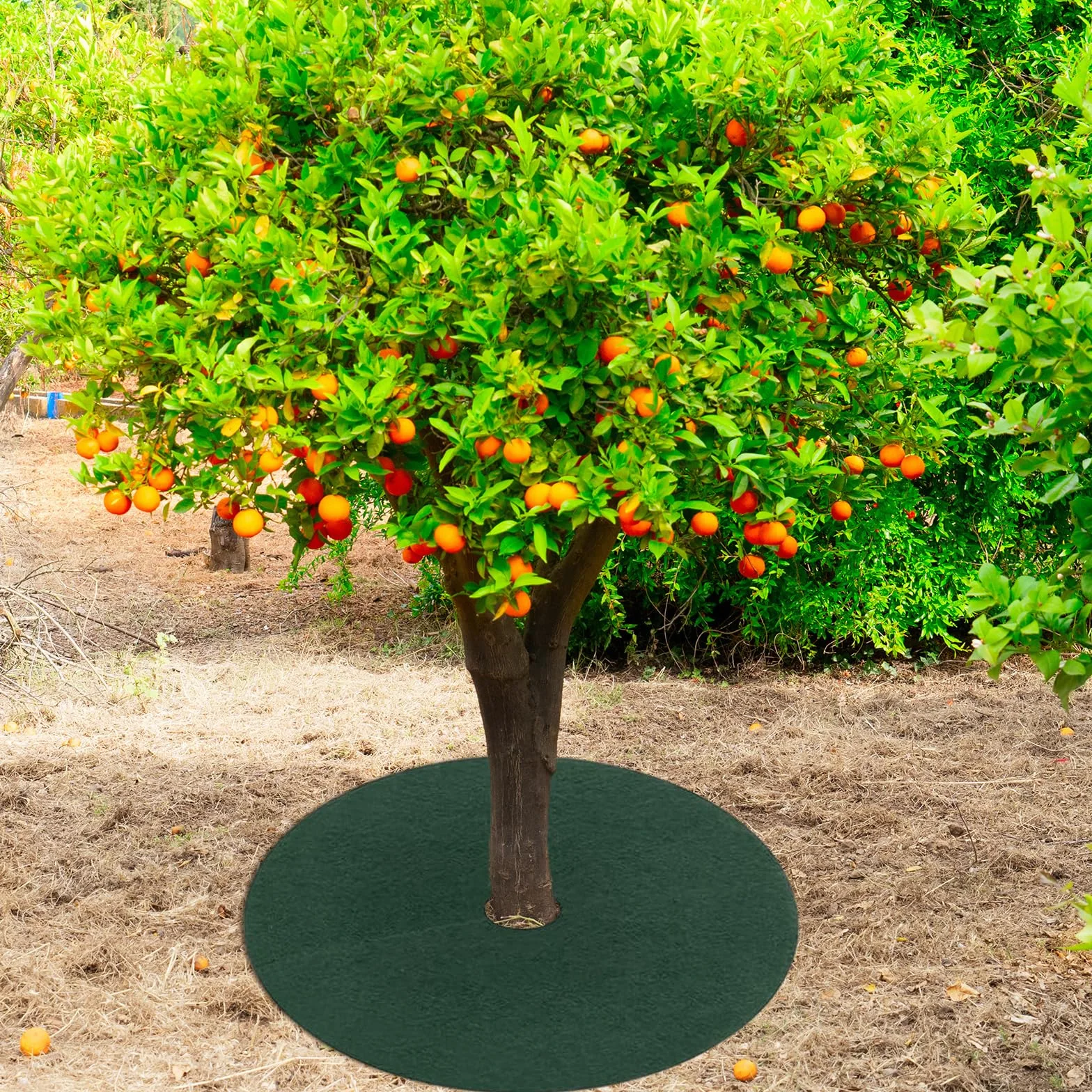 Tapis de Protection pour Arbres Anti-Herbes Diamètre 32cm 10 Pièces