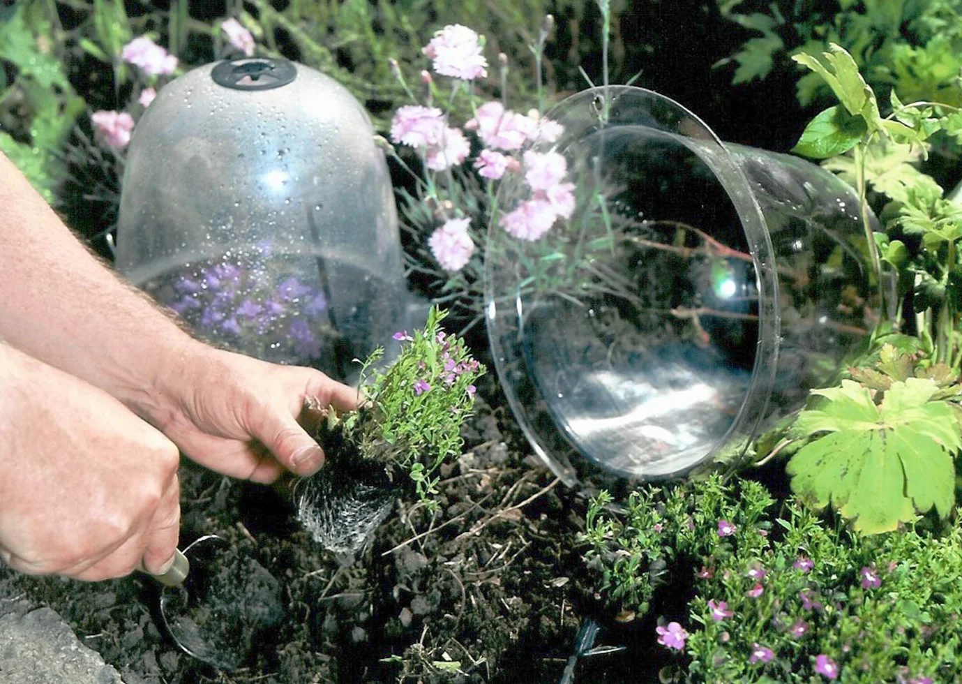 Haxnicks TIERRA GARDEN Lot de 3 Cloches de Jardin Transparentes Original 34 x 26 cm