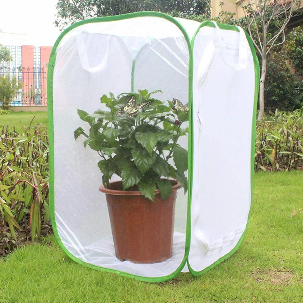 Cage Papillon Habitat Insecte Élevage avec Film PVC Transparent Pliable Amovible Blanc Filet Serre Tente pour Extérieur