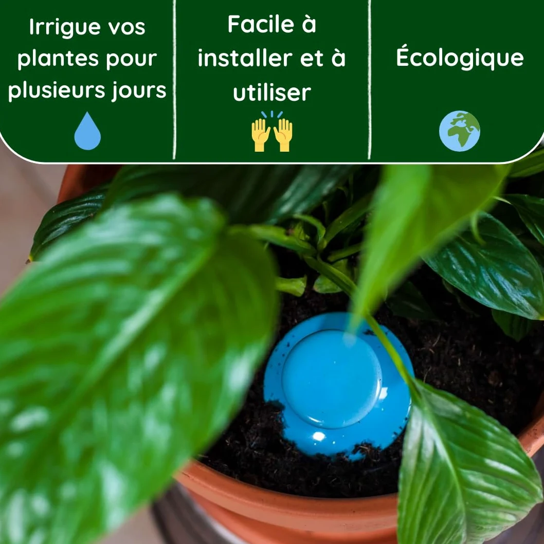 3 oyas à enterrer de 500 ml en couleur avec leur couvercle - ollas pour arroser tous type de plante d'intérieur et extérieur (Bleu)