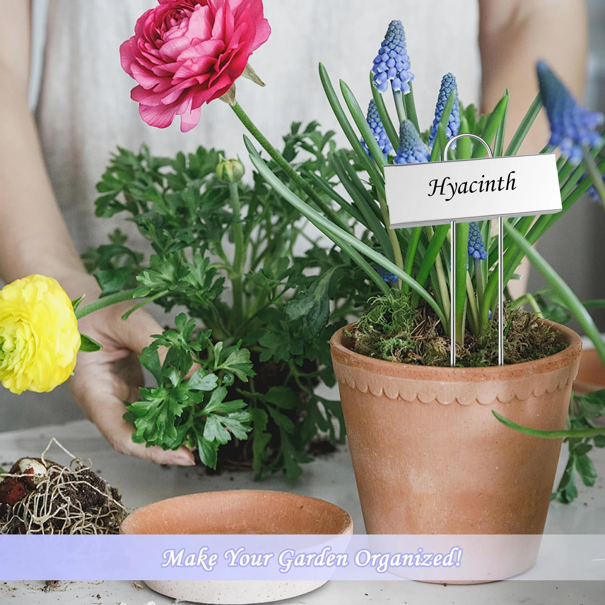 FORUP Lot de 50 étiquettes en métal pour plantes - Résistantes aux intempéries - Réutilisables - Argenté