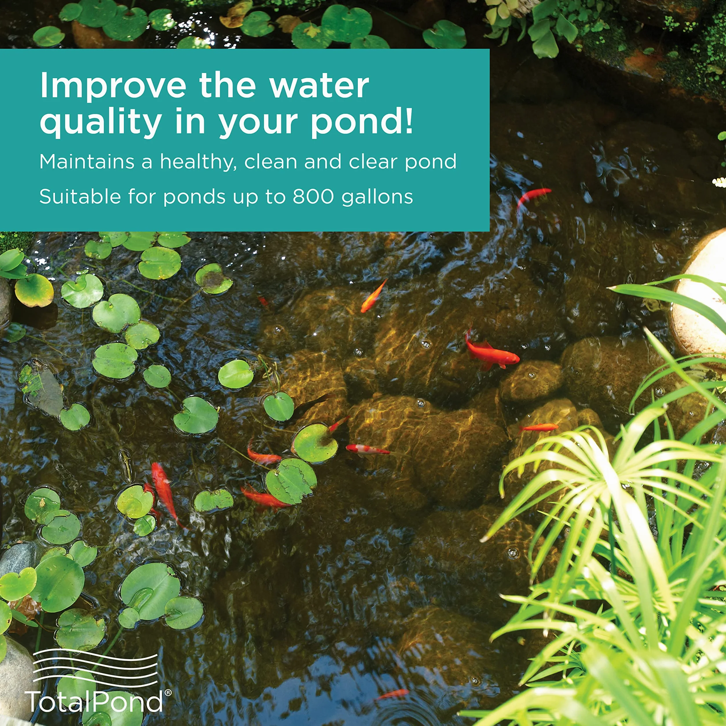 Garden & Lawn Supply TotalPond UVC9/clarificateur de bassins 9 W UV