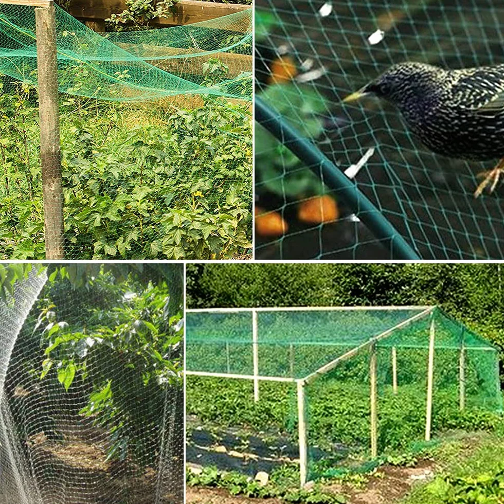 Filet anti-oiseaux 5 m x 10 m Lot de 2 avec attaches nylon pour protection plantes fruits légumes
