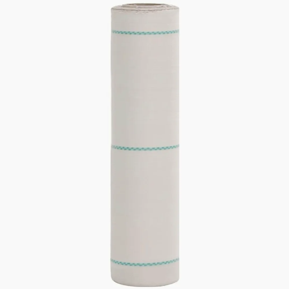 Membrane Anti-Mauvaises Herbes Blanche 0,5x50 m PP géotextile Drainage Jardin pelouse terrasse stabilisation séparation Filtration Protection humidité