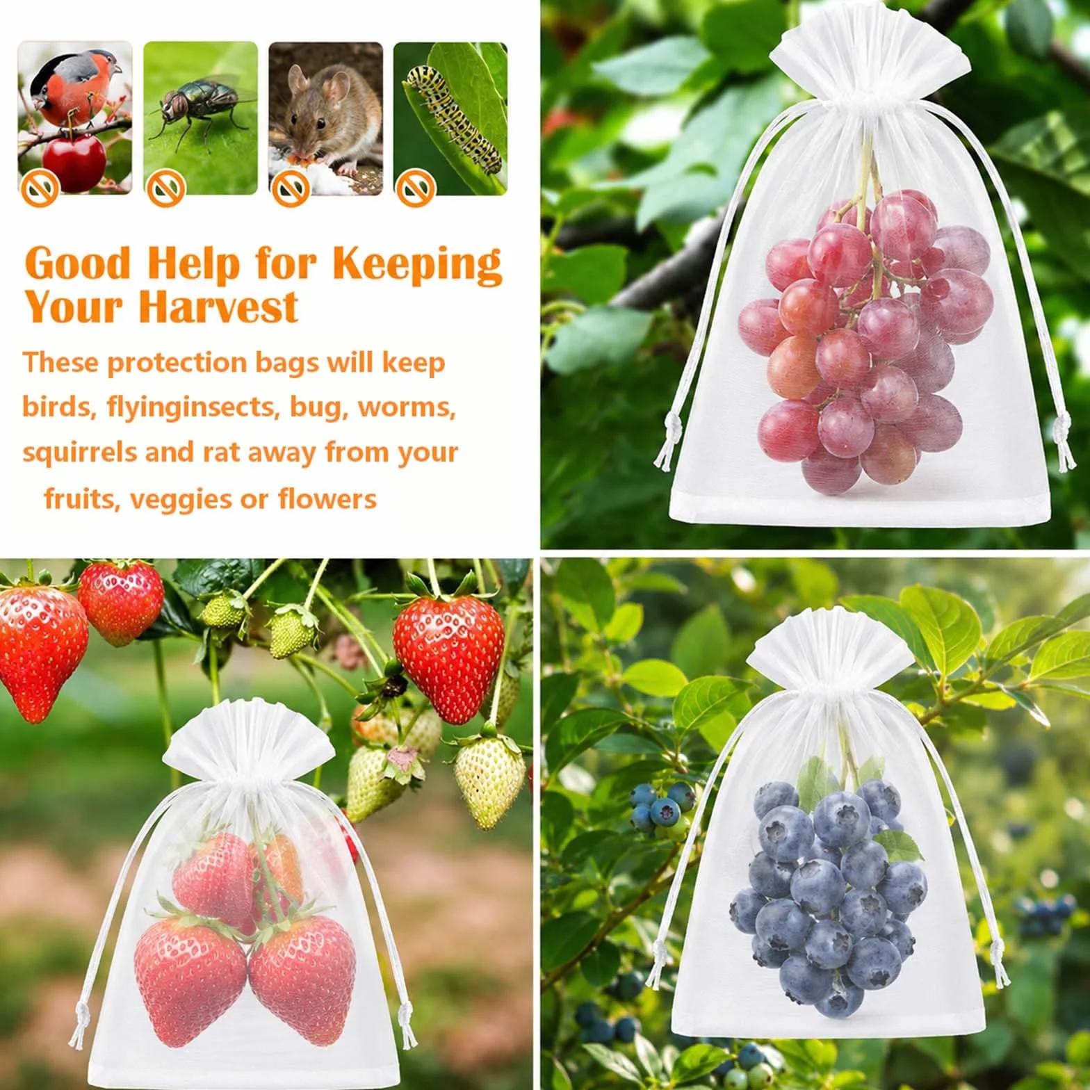 Sachet Protection Raisin 30x40 cm Lot de 100 Sac Filets Jardin