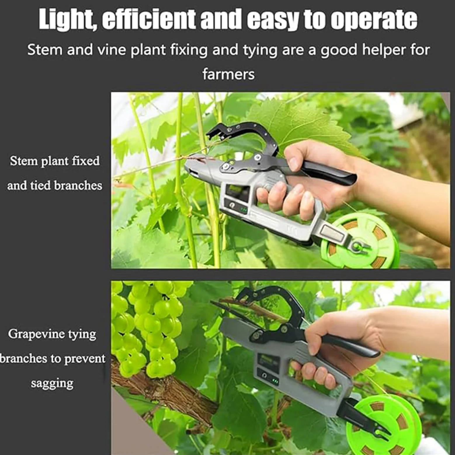 Machine à attacher les plantes, outil de fixation de vigne – Enroulement automatique pour raisins, tomates, concombres, melons, fleurs, aubergines, 45 mm de diamètre, 6000 branches attachées