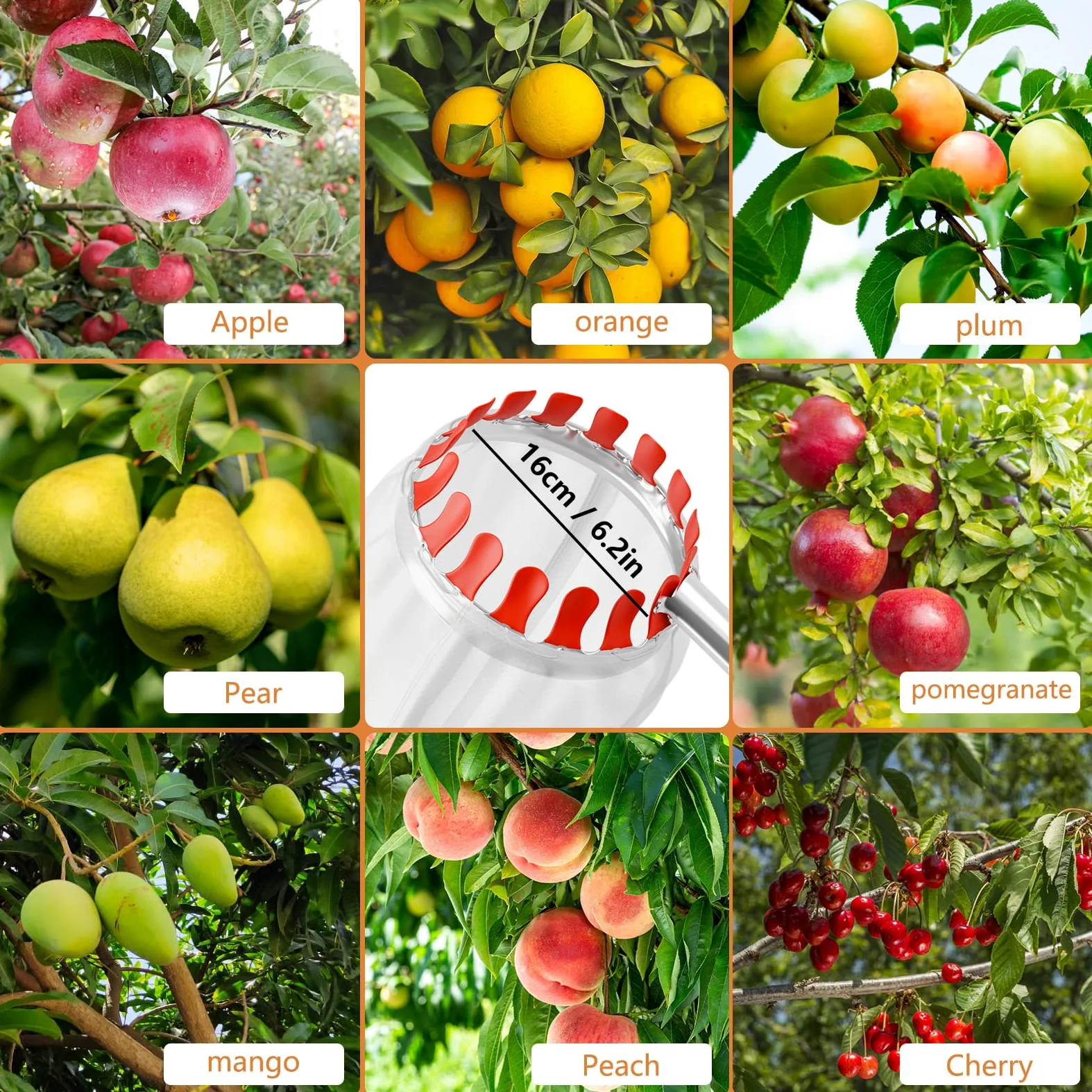 4,2 m Cueilleuse à fruits pour pommes et cerises avec manche télescopique Ø 16 cm | Cueilleuse à fruits sûre et confortable pour cerises, pommes, pêches, prunes avec sac en filet à fruits et sac de rangement