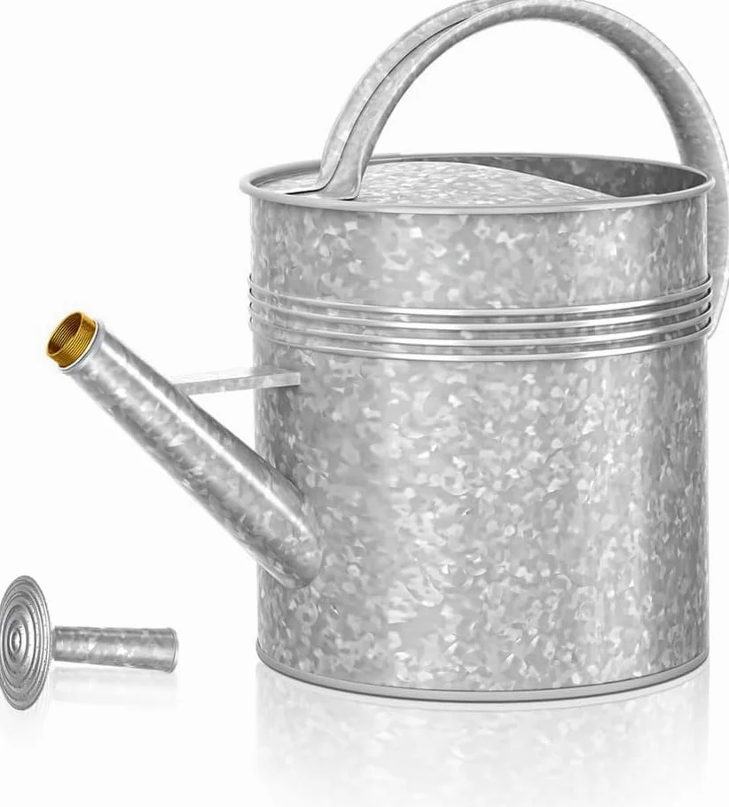 LONGRUN Arrosoir galvanisé de 10 l avec douchette amovible | En fer galvanisé, argenté, 2 fonctions d'eau, long bec verseur pour jardin et balcon