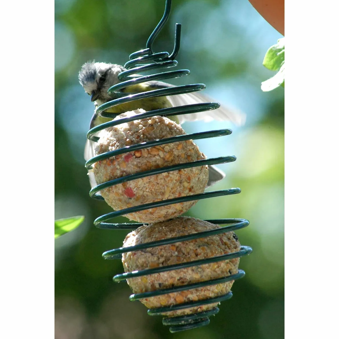 dobar Porte-boules de graisse Spirale d'alimentation 7,5 x 11 (26,5) cm Vert
