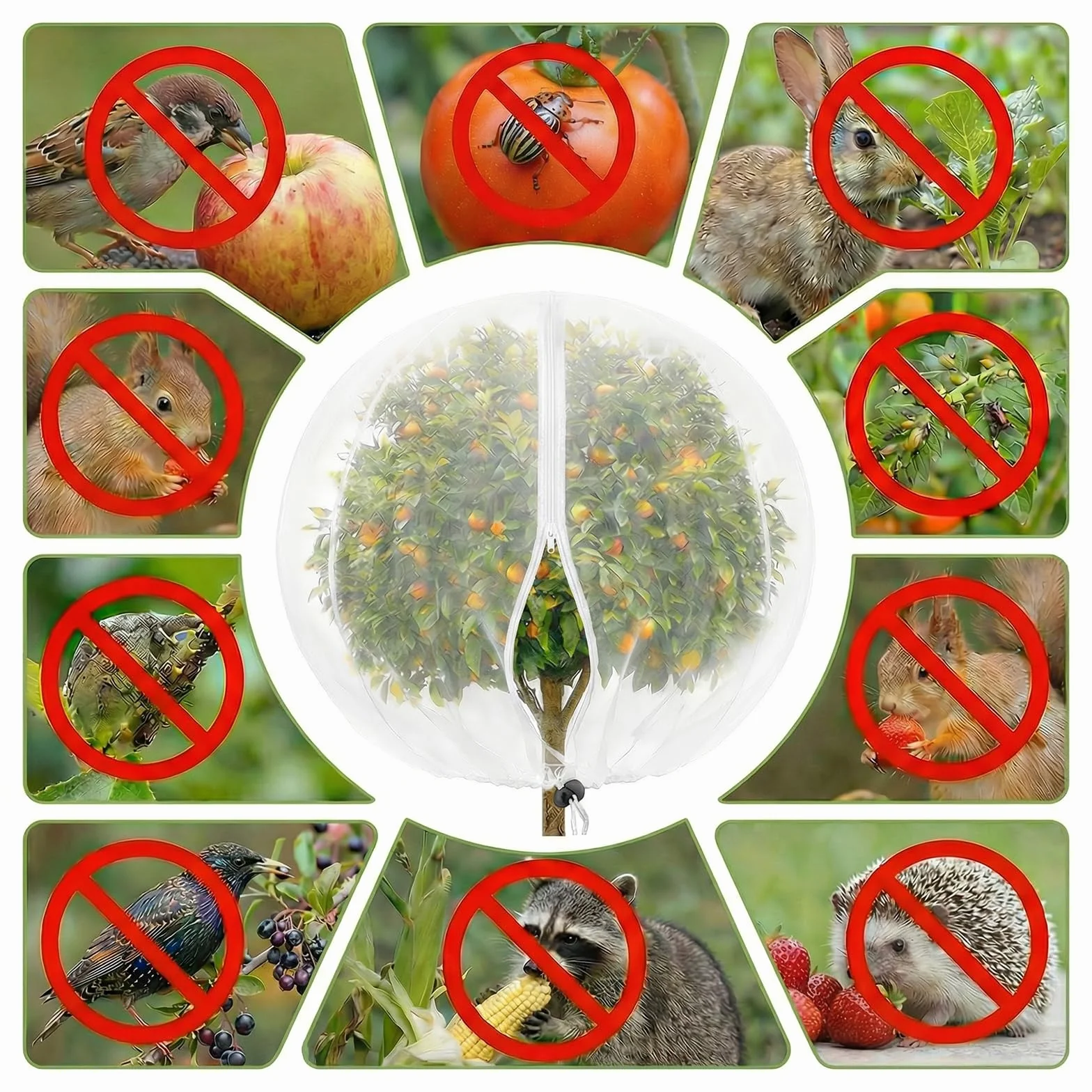 Filet Anti Insecte Arbre Fruitier Sac Protection Plantes 1.2 x 1.5 m