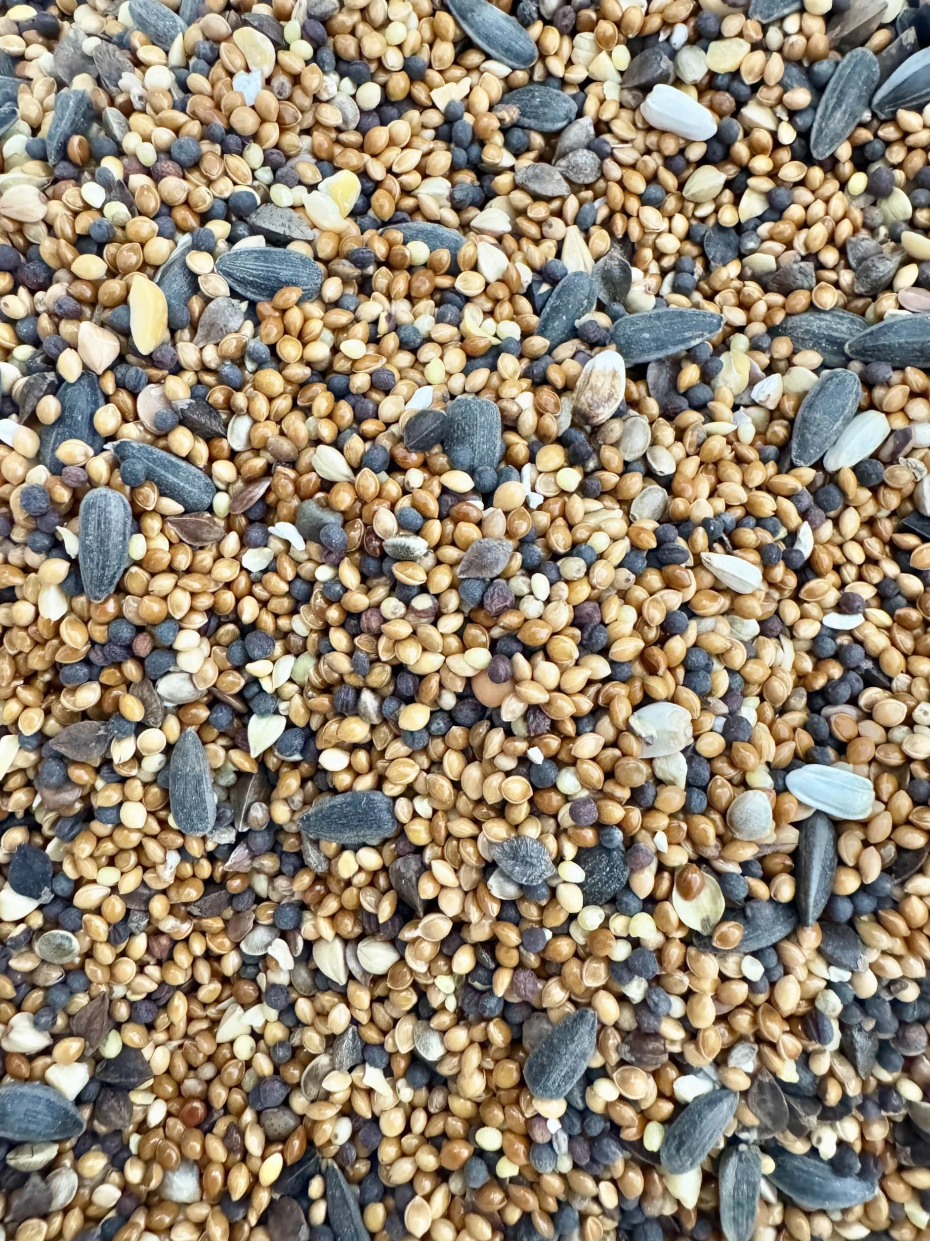 POSH Nourriture pour oiseaux sauvages 15 kg Mélange 4 saisons