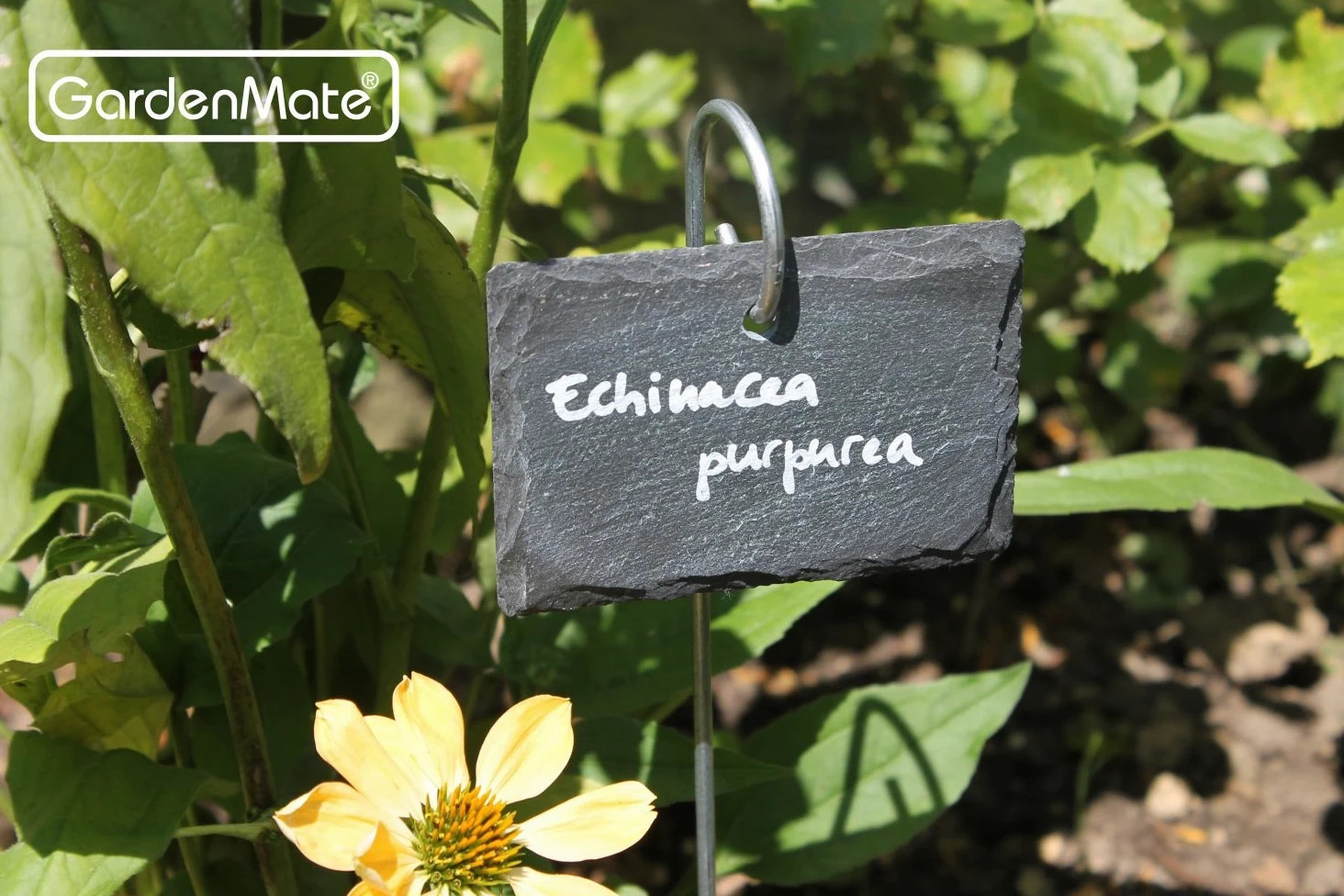 GardenMate 10-Pack 10,2 cm X2 3/10,2 cm Ardoise étiquettes 5-Pack 17" Slate Labels with Metal Rod