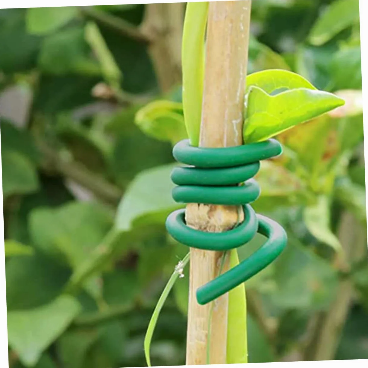 Happyyami Jardinage Verts pour Attacher Vigne et Fleurs 2 Rouleaux de Liens en TPR et Fer Accessoires Pratiques pour Sécuriser Plantes Jardin