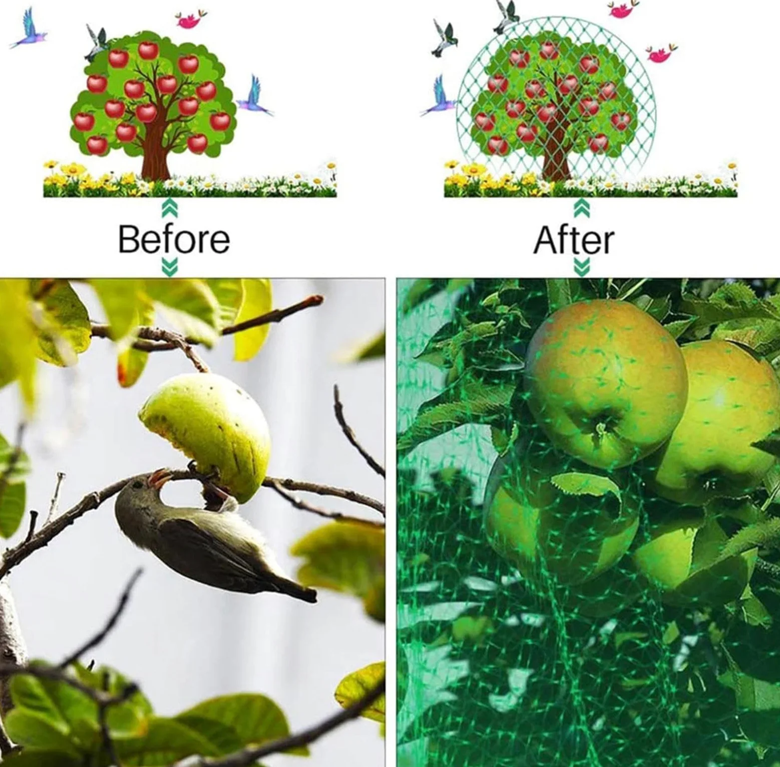 Filet Protection Oiseaux Potager Filets pour Jardin Potager Idéal pour Prévenir Les Oiseaux et Les Gros Insectes,3x10m