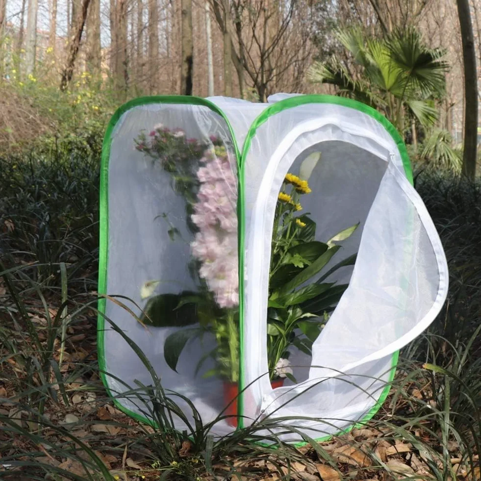 Lot de 2 cages habitat à insectes et papillons - Pour terrarium - 2 x 15,7 x 15,7 x 23,6 cm - Blanc durable + vert
