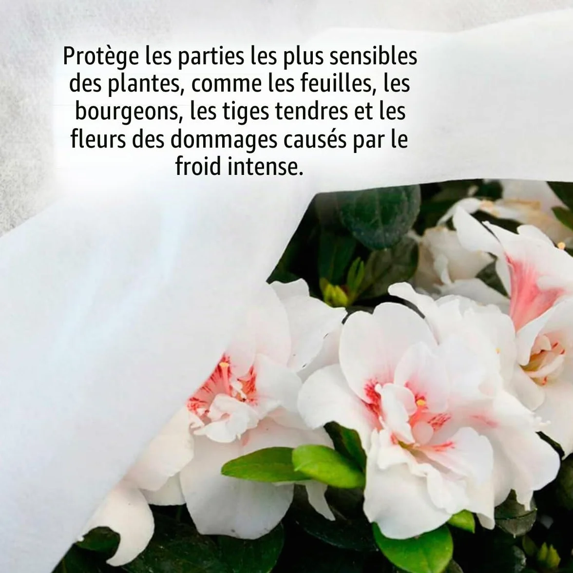Biotop Tissu Thermique Protecteur Anti-Gel 4 x 5 m 17 g Couverture pour Plantes Arbustes