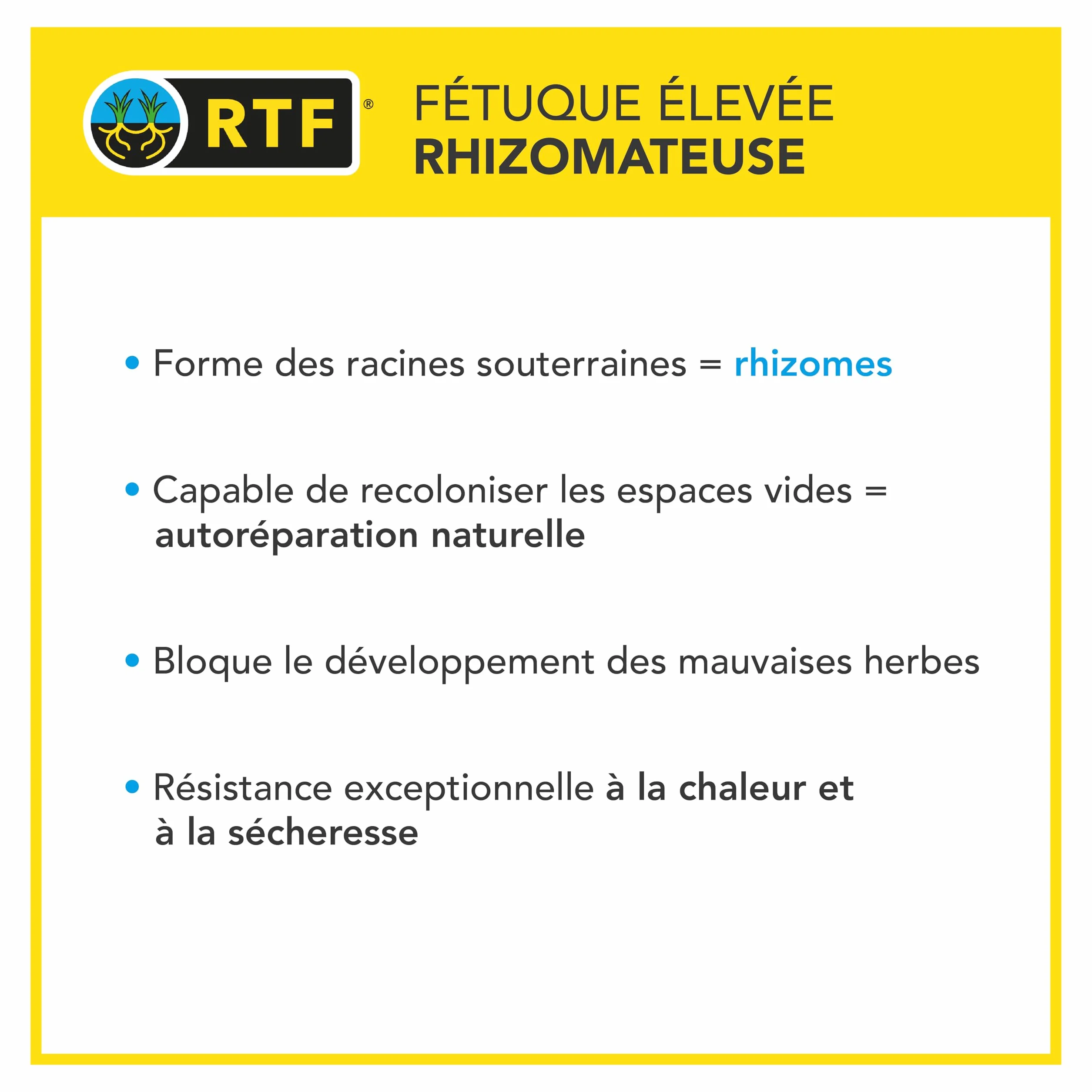 Barenbrug Gazon Littoral & Fortes Chaleurs 3kg Résistant Sécheresse Embruns