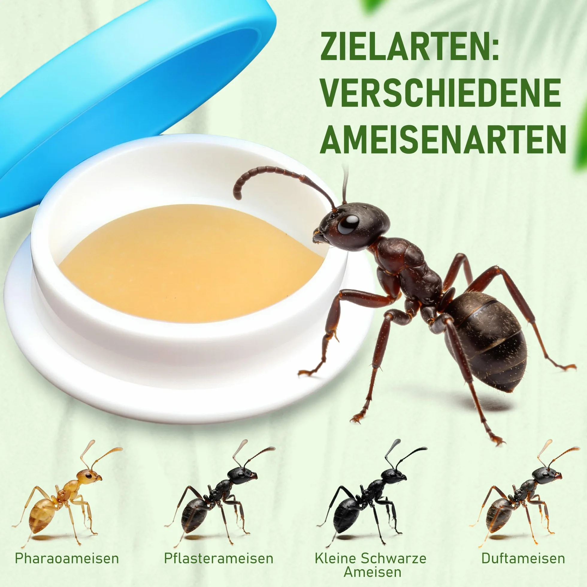 Pièges à fourmis Lot de 64 pour Intérieur Extérieur Jardin Terrasse Animaux Enfants