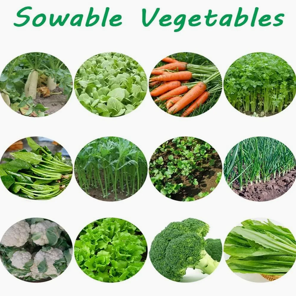 COYEUX Semoir de Jardin à poussée Manuelle à 3 rangées, semoir de Jardin à poussée Manuelle de précision, épandeur d'espacement réglable pour Plantes-sèmer Les graines en Toute simplicité